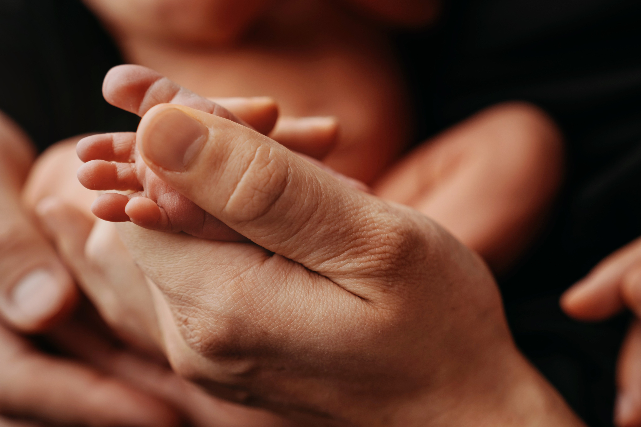 Вера. Фотограф новорожденных и детей первого года Евгения Михалькевич