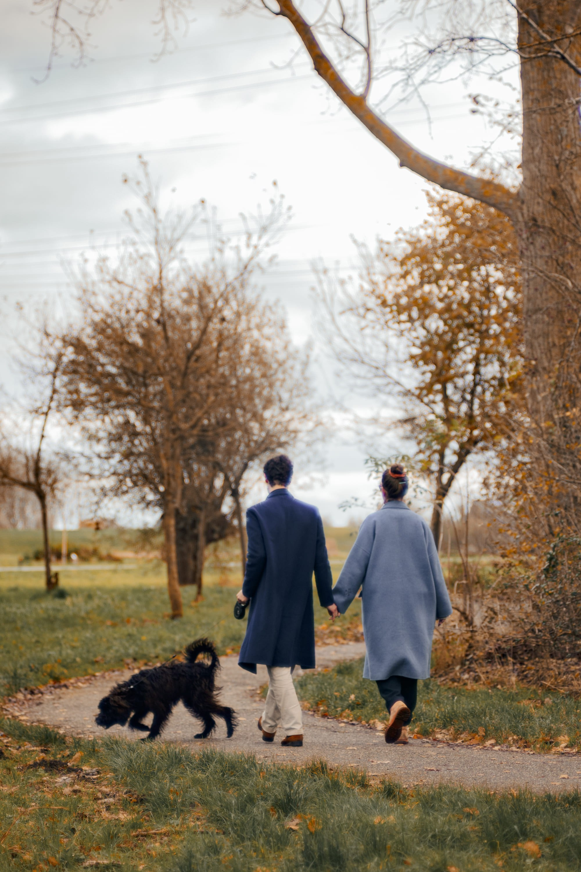 Pet Photoshoot in Spijkenisse | Rotterdam. Romantic & Soulful Photography by Natalia Olhova in Rotterdam