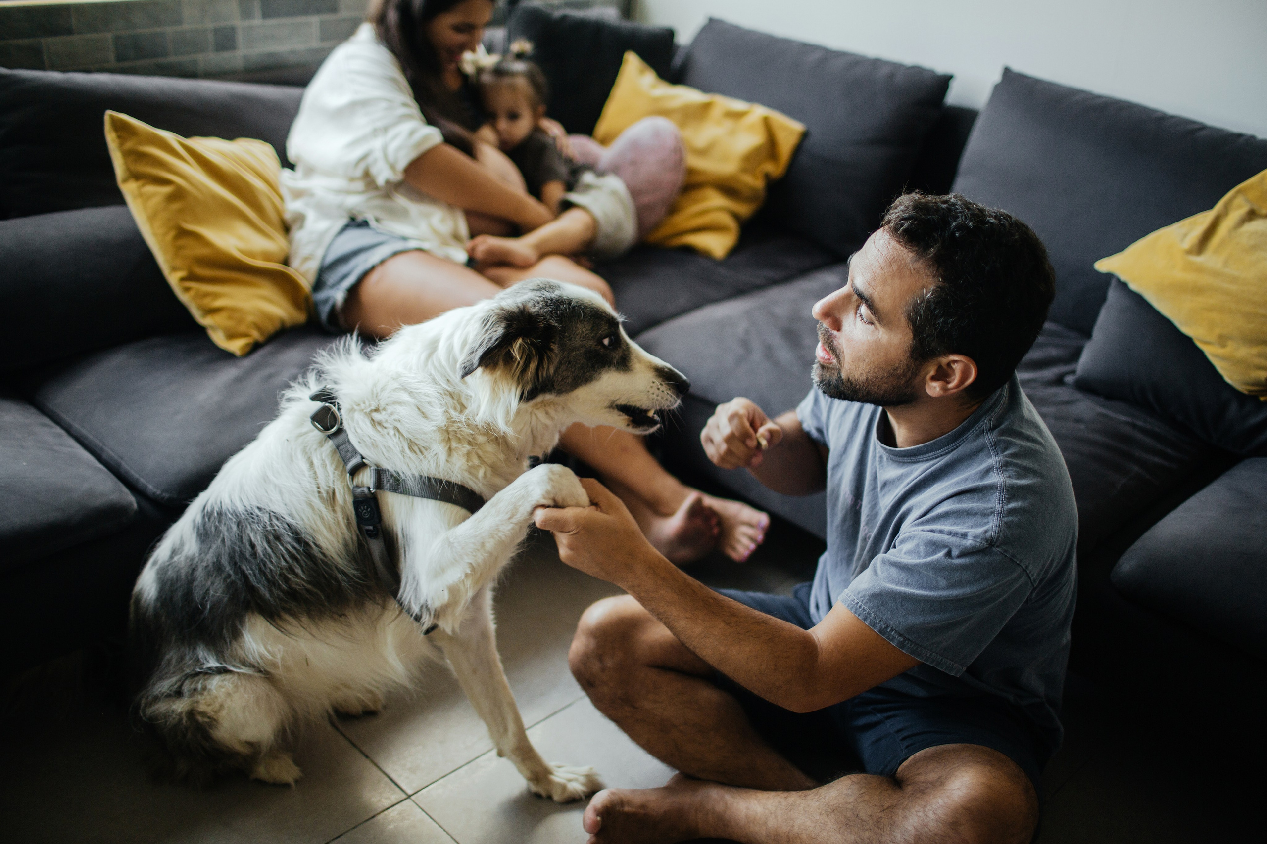 Home story. Family photographer in Israel
