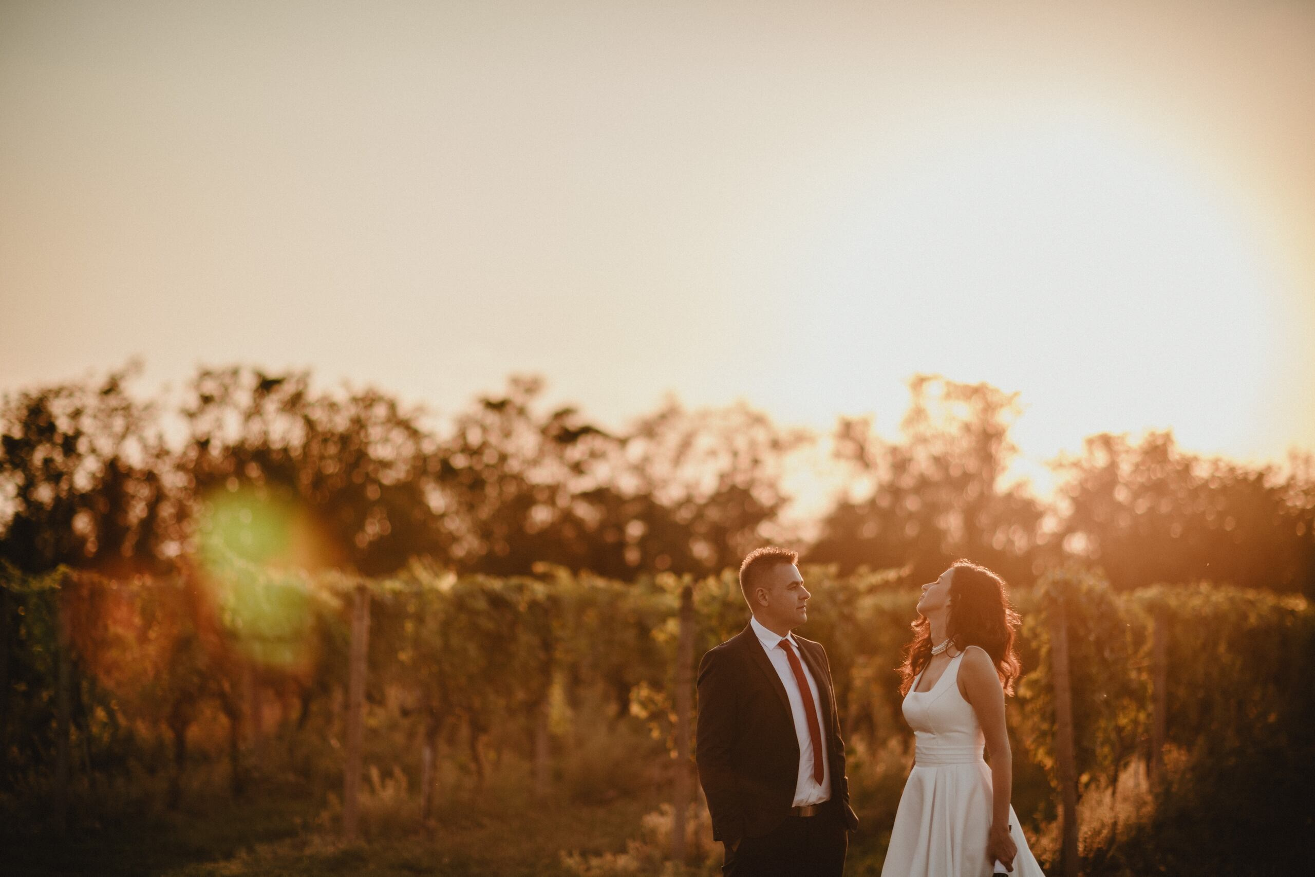 Portfolio. Wedding photographer based in Novi Sad, Marko Milivojevic