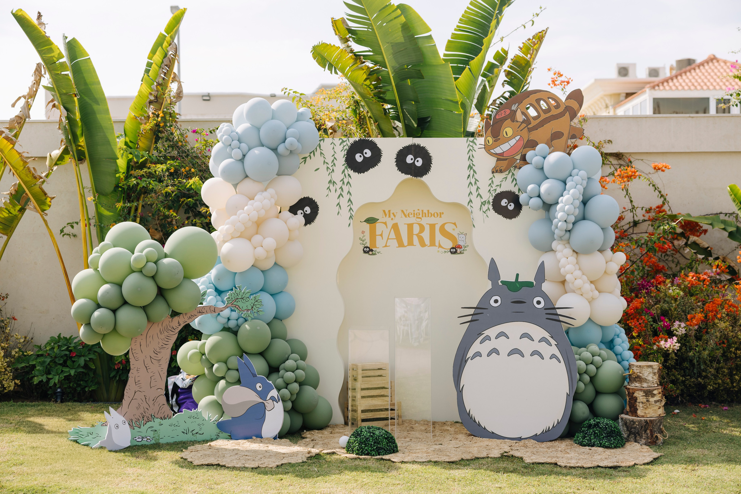 Faris' 3rd Birthday