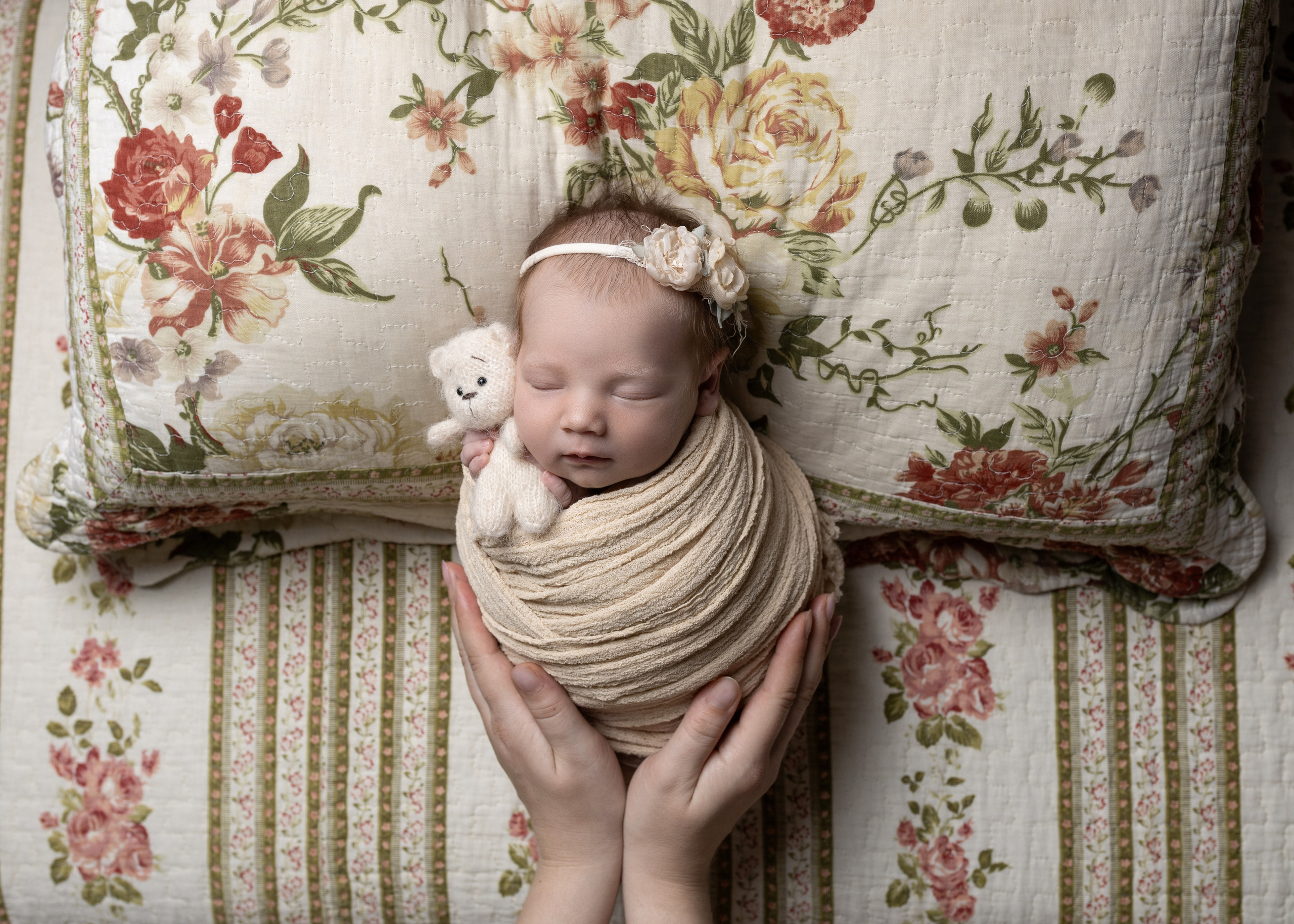 Каталог 24 Newborn. Катерина Шустерман — фотограф Newborn, семейный в Израиле