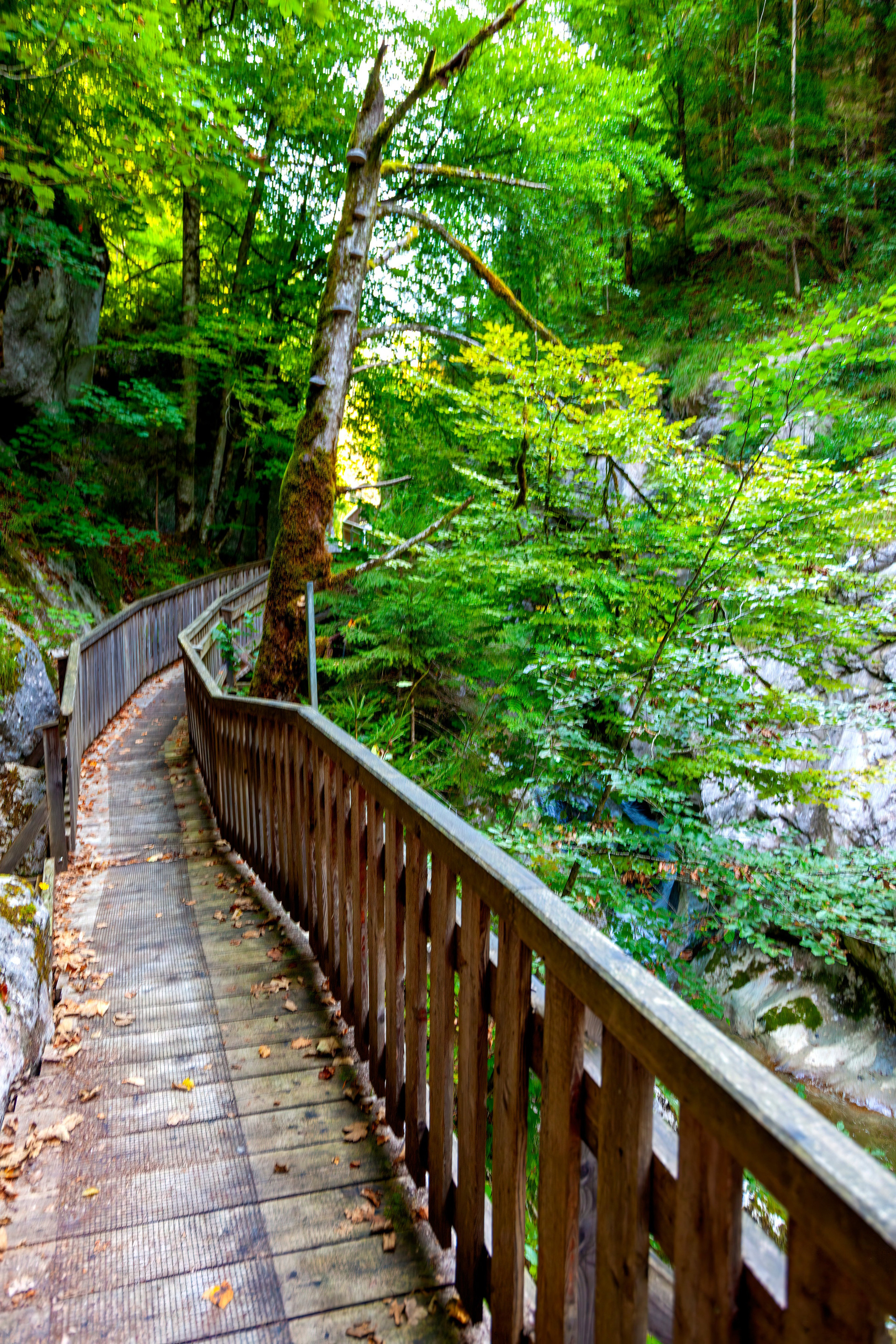 195.Nothklamm.Austria.20.8.2025. Путешествия в формате 360......