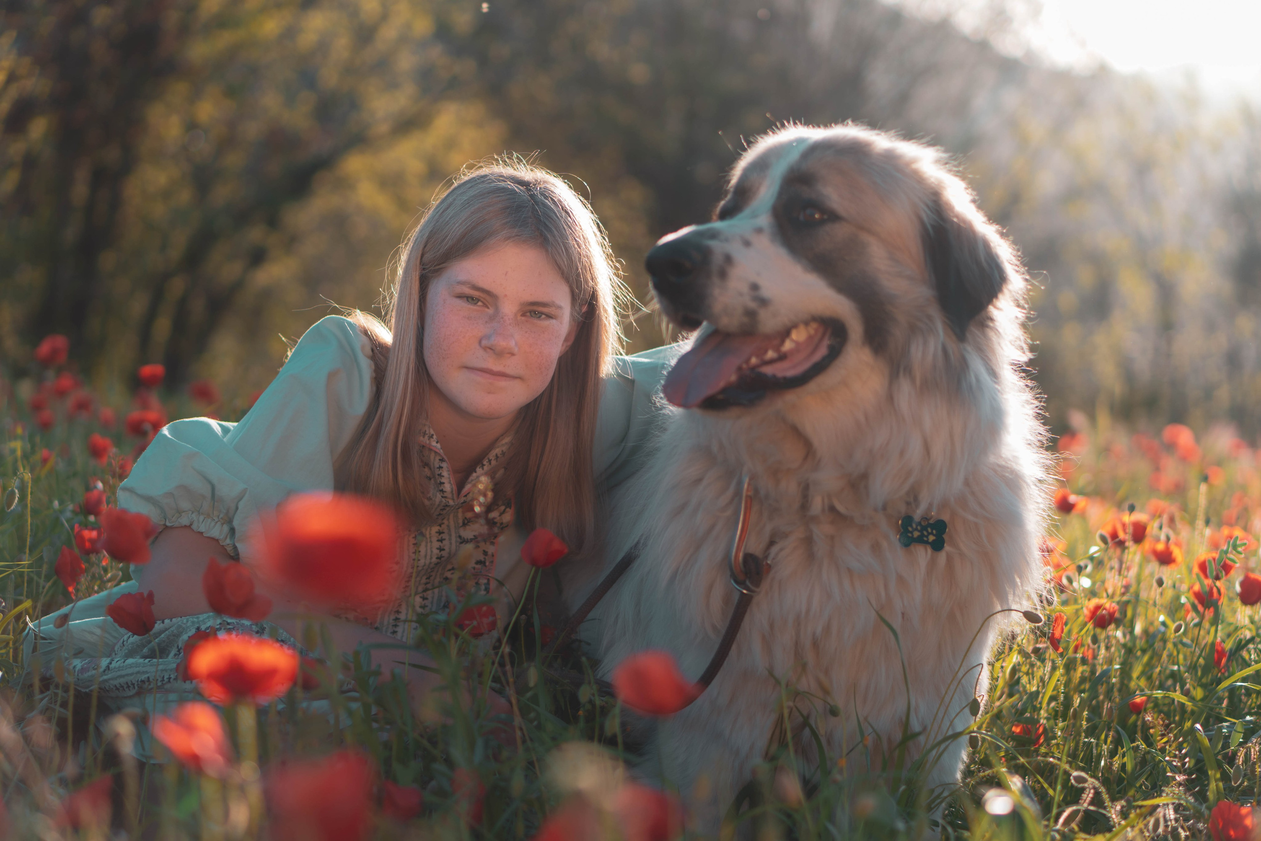 Agnia & Amapolas. Alba del Norte Studio