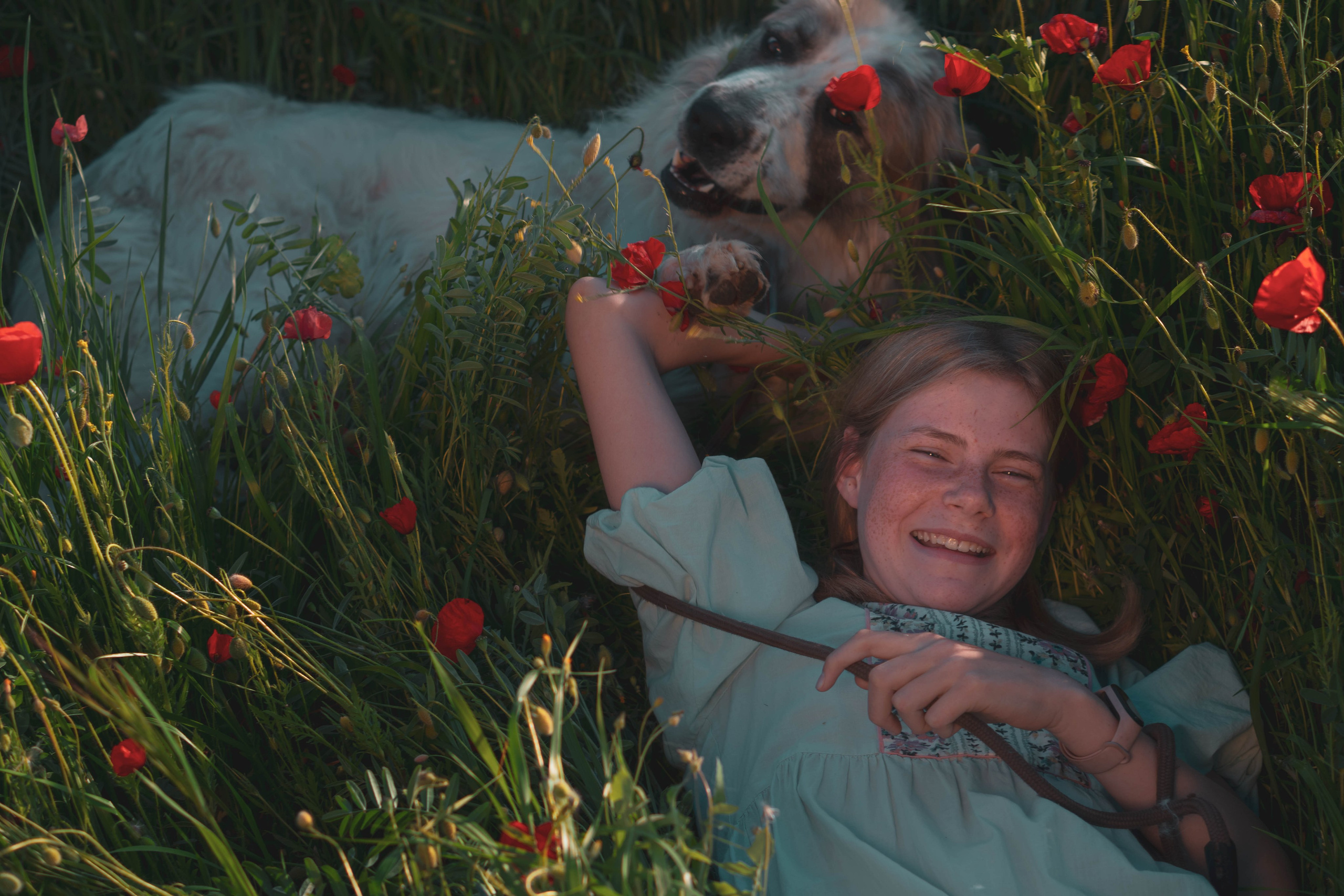 Agnia & Amapolas. Alba del Norte Studio