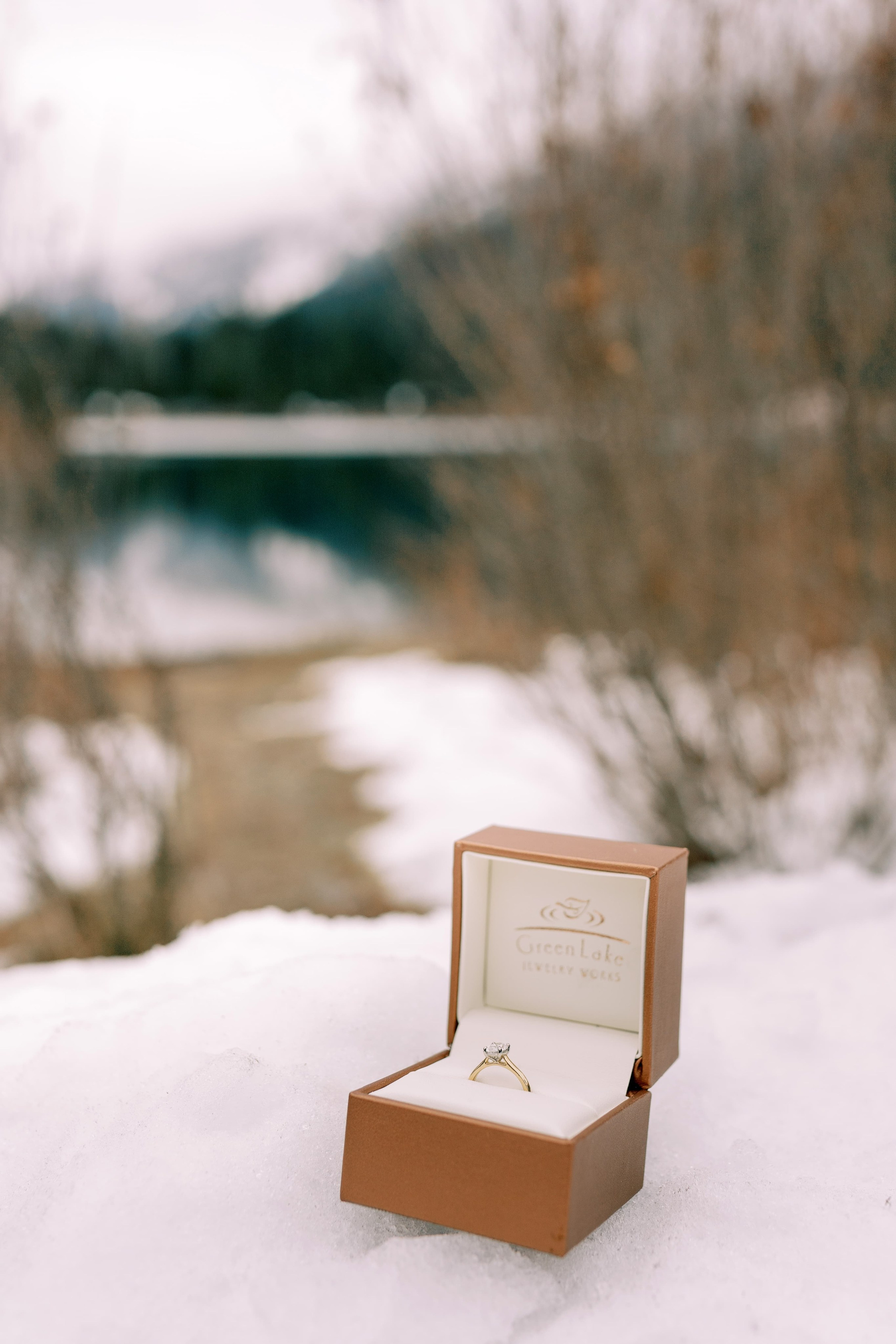 Engagement photoshoot. Date & TJ. Gold Creek Pond. December 2024. EVAN ARISTOV WEDDING PHOTOGRAPHY — Seattle Wedding Photographer