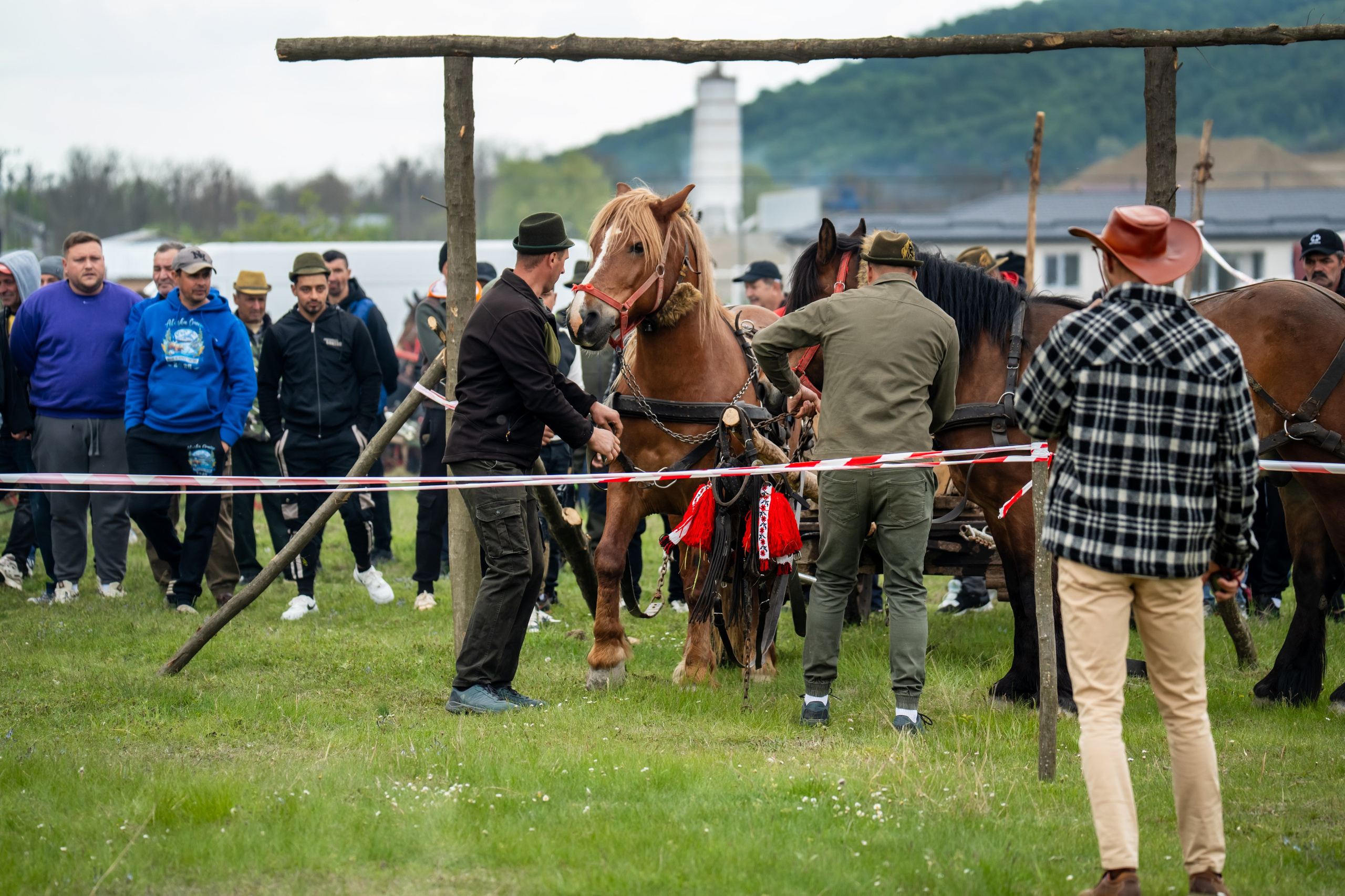 Concurs Ecvestru Vărbilău ediția a 4-a. Mihai Alexandra Events
