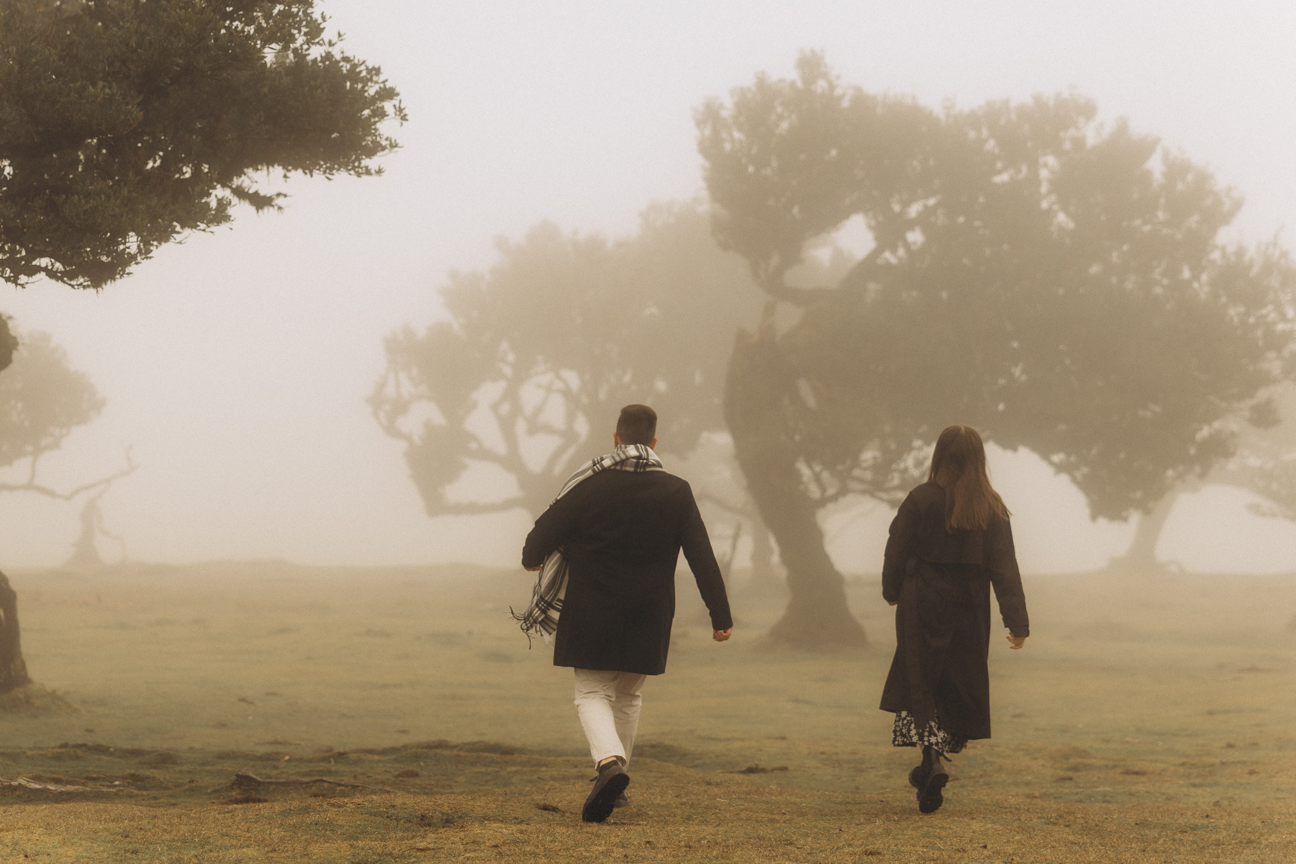 Couple photoshoot in Fanal Forest