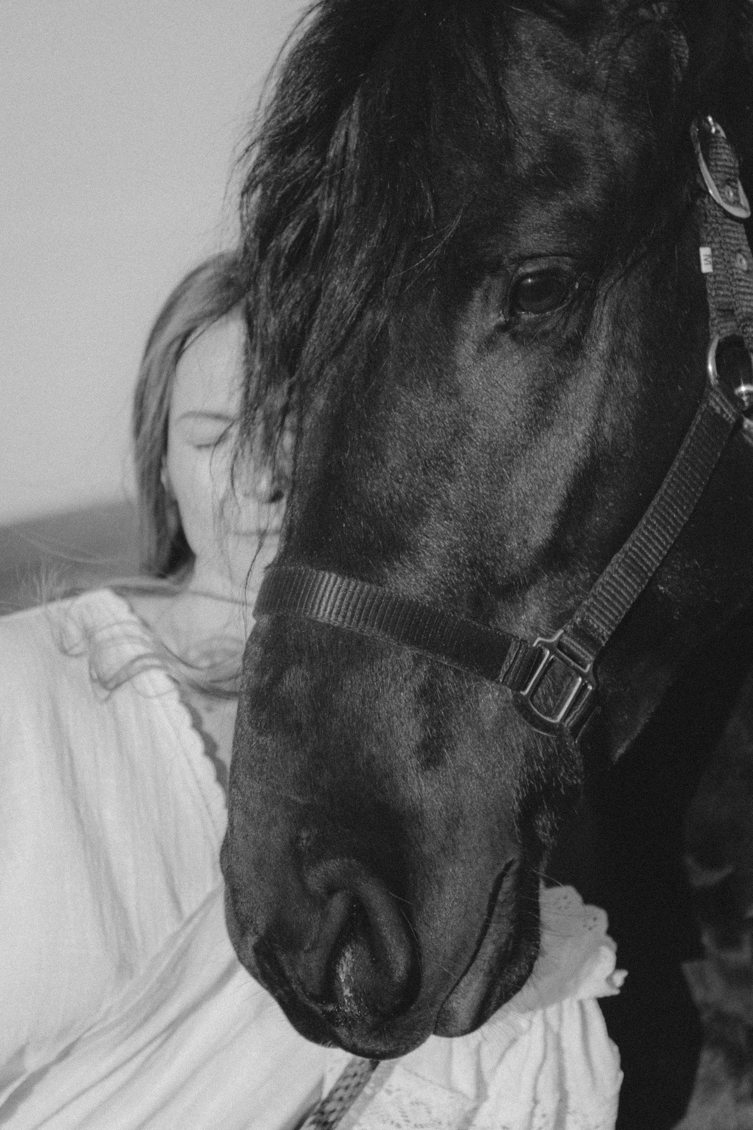 Marharyta&Veron. VOLKOVA OLGA