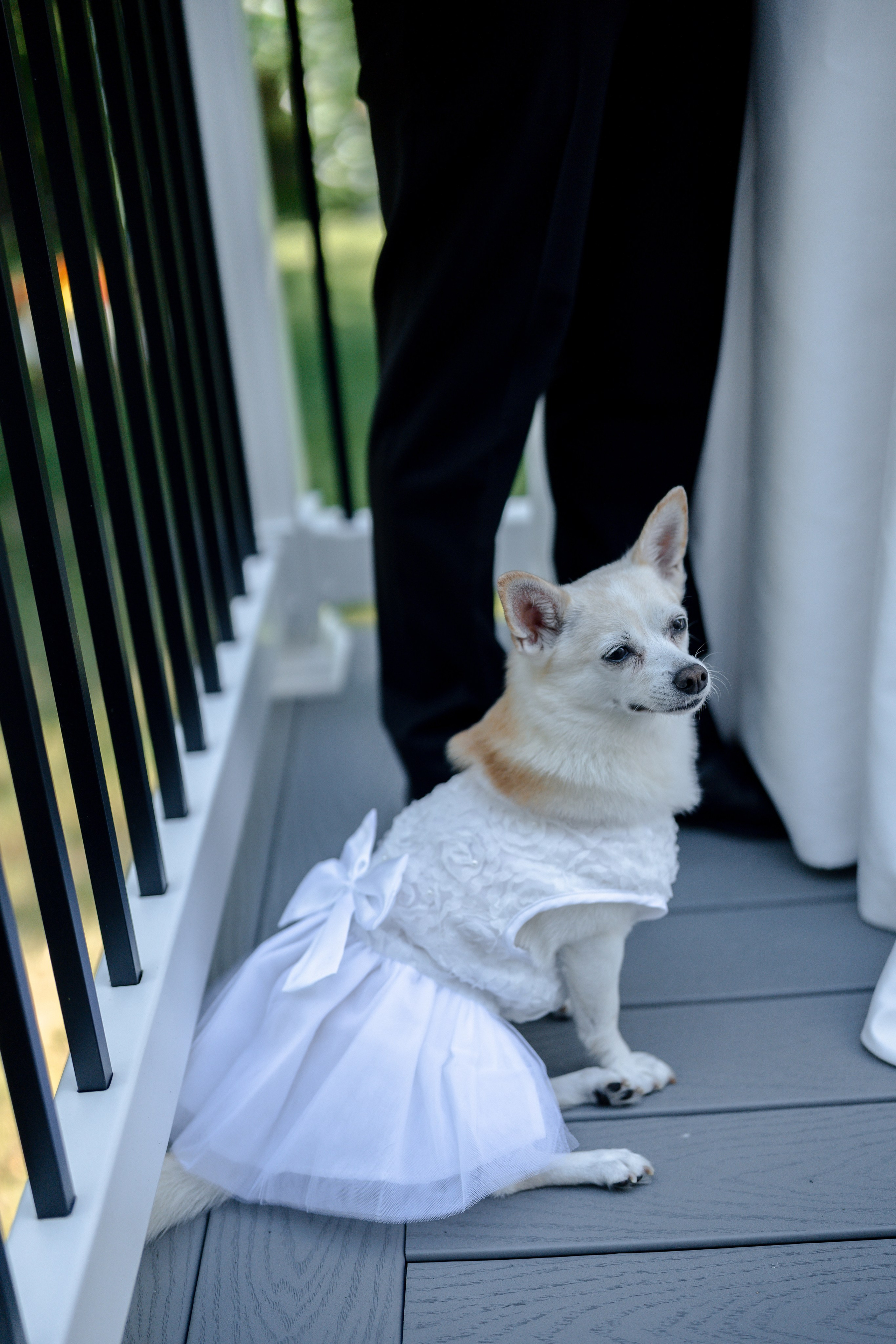 Bernice & Eric. Anna Krasnova Wedding photographer