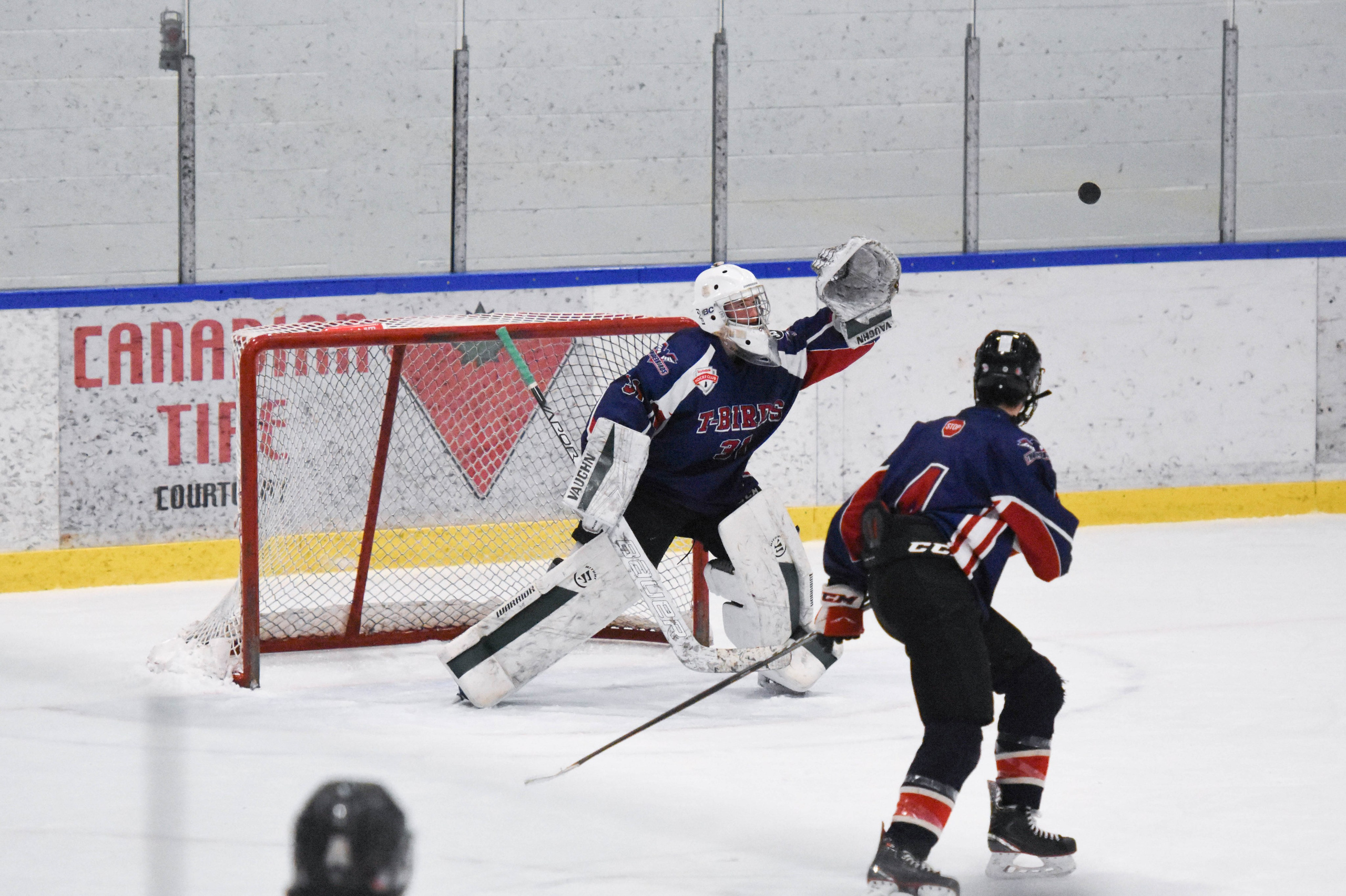 Ice Hockey. Jennifer Lai Media