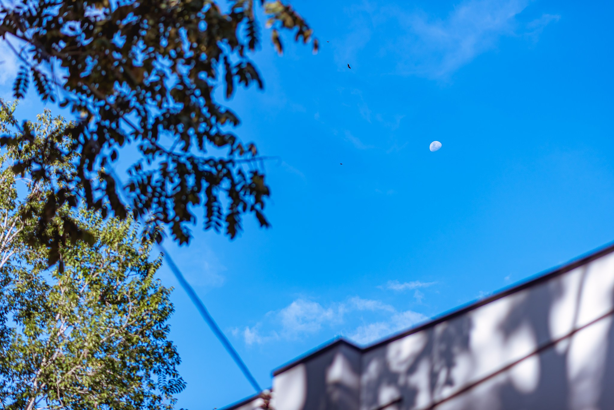 Malu e Felipe. Fotografia de casamentos e ensaios em avaré Jônata Oliveira