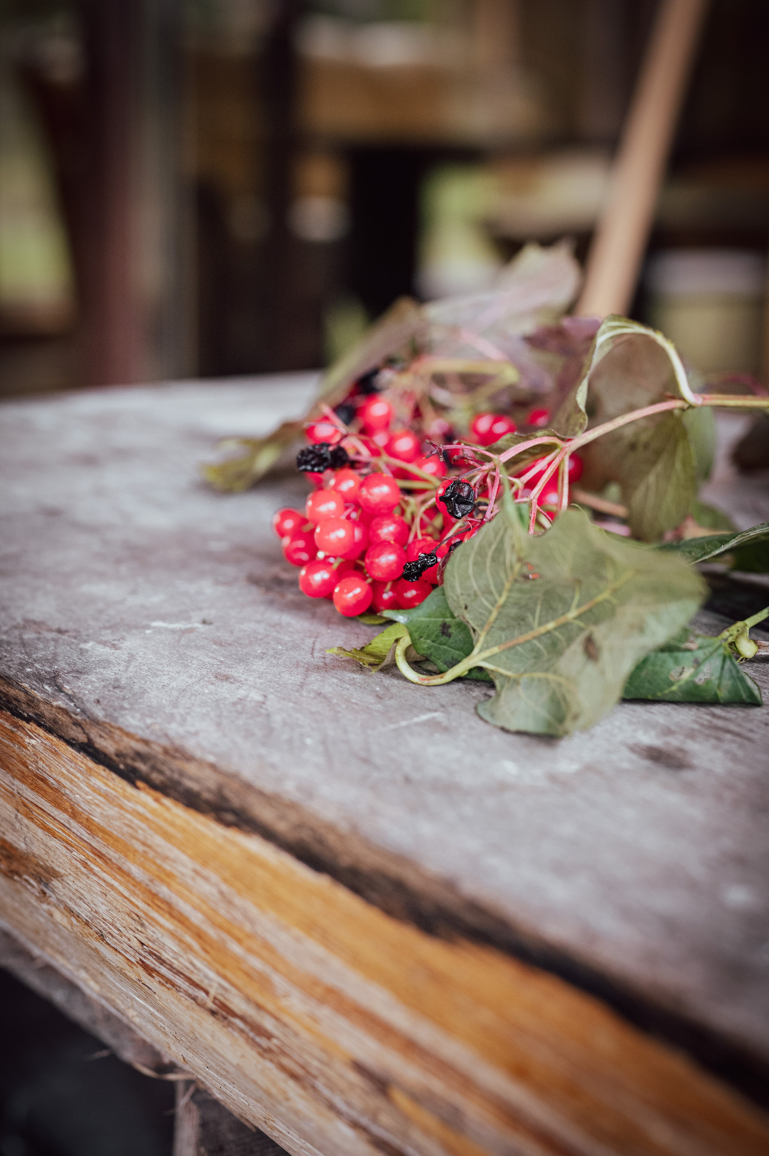 Мероприятия. Фотограф Сергей Трифонов