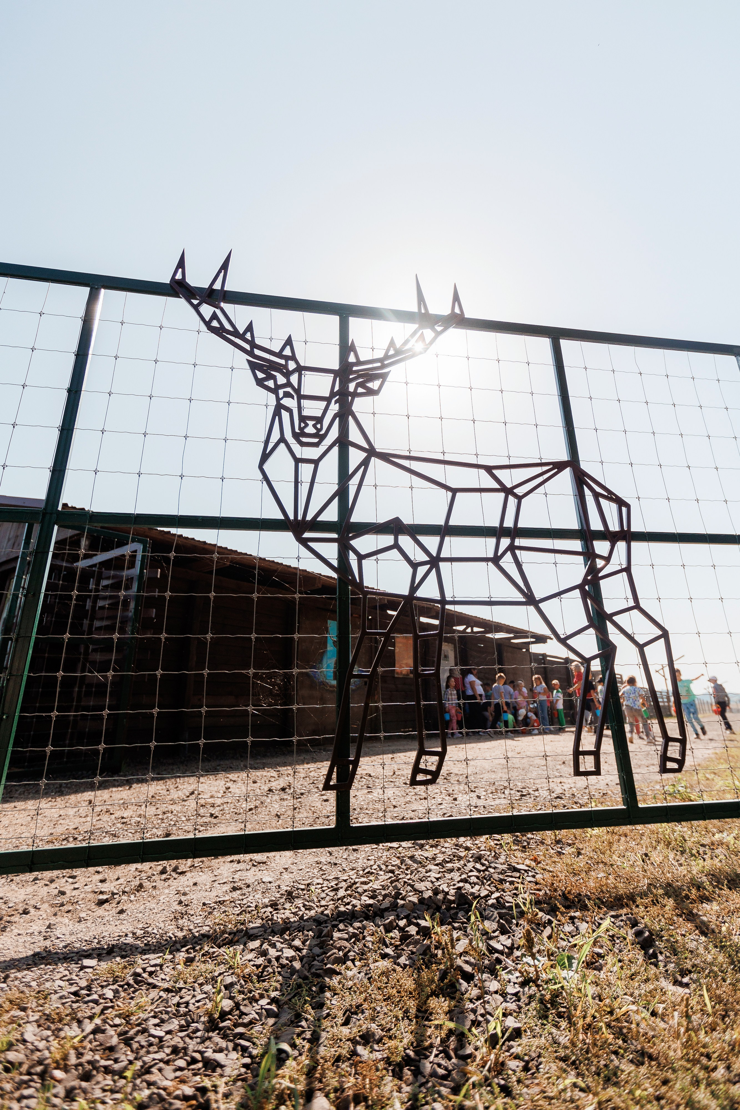 Екопарк Аміла. Ірина Терещук