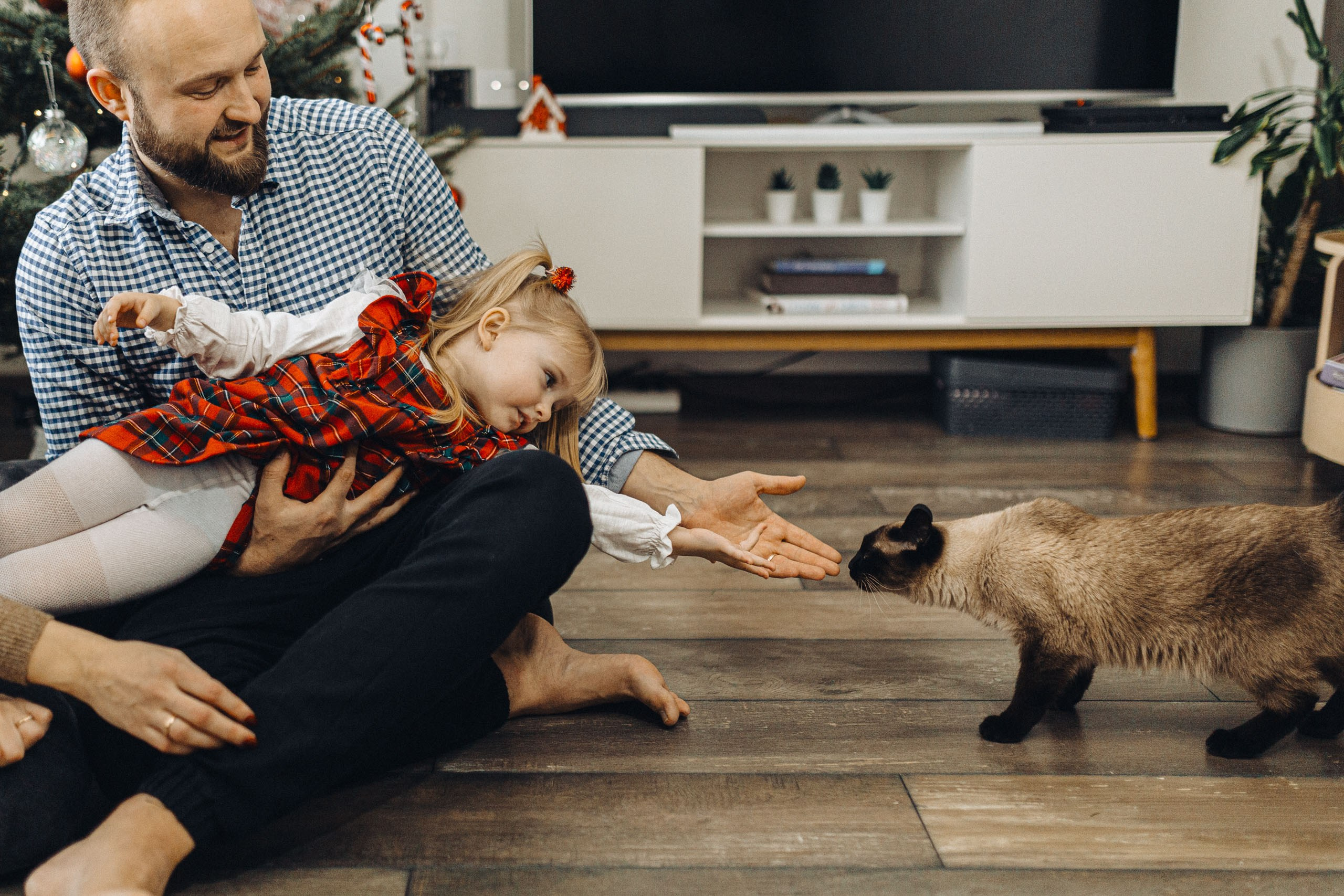 ĢIMENES FOTOSESIJA ZIEMĀ