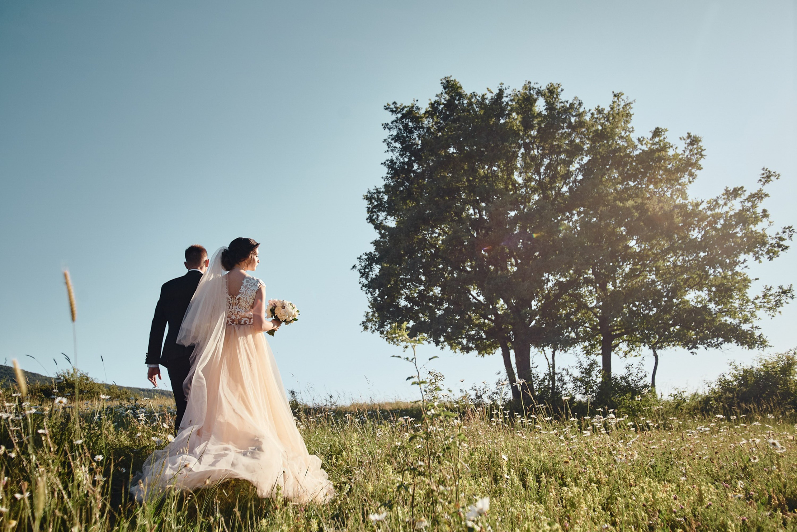 Wedding portfolio. Artur Habaiev photography