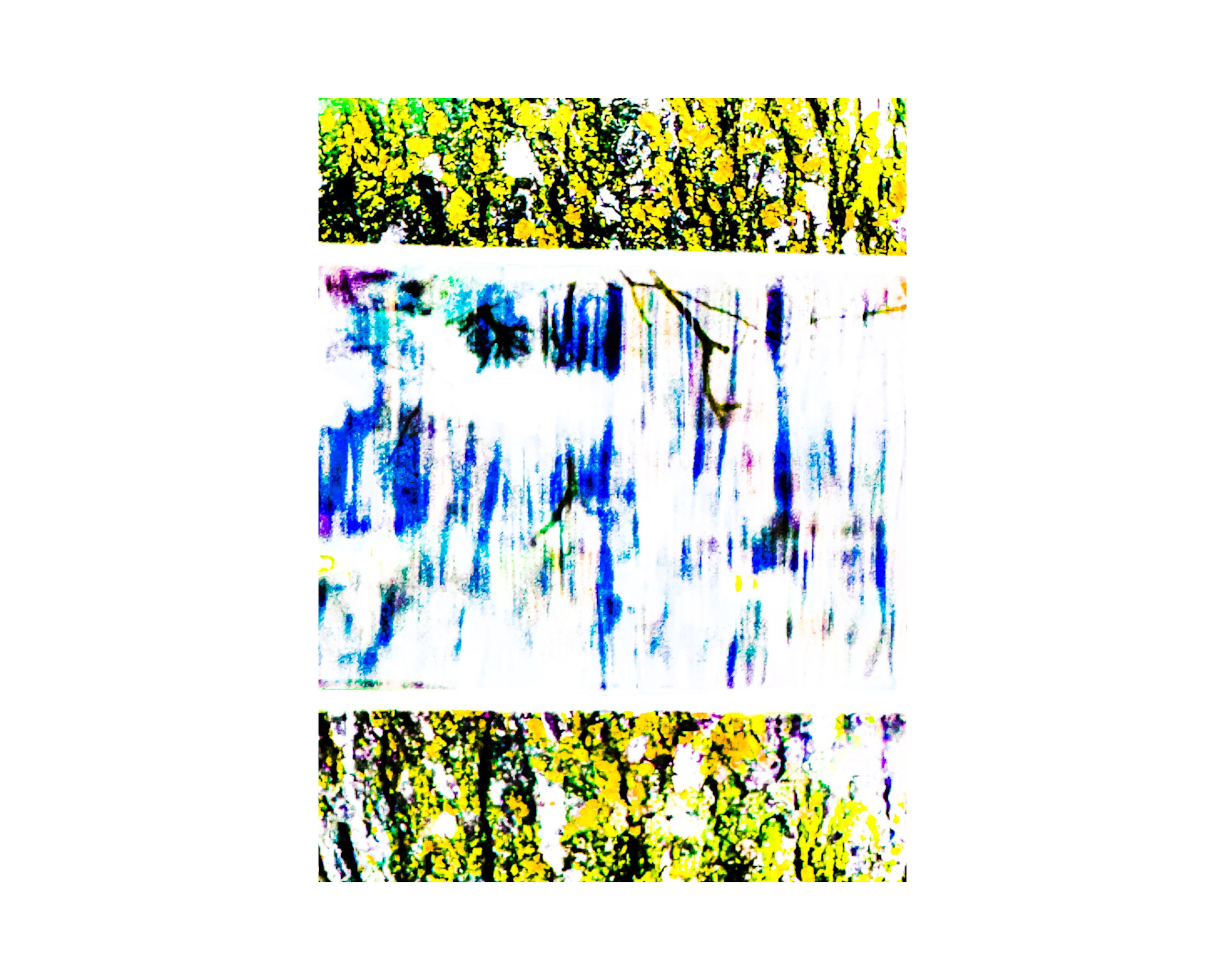 Abstract from Exaggerated Worlds. Ekaterina Tsurkina-Appina Photography Canada