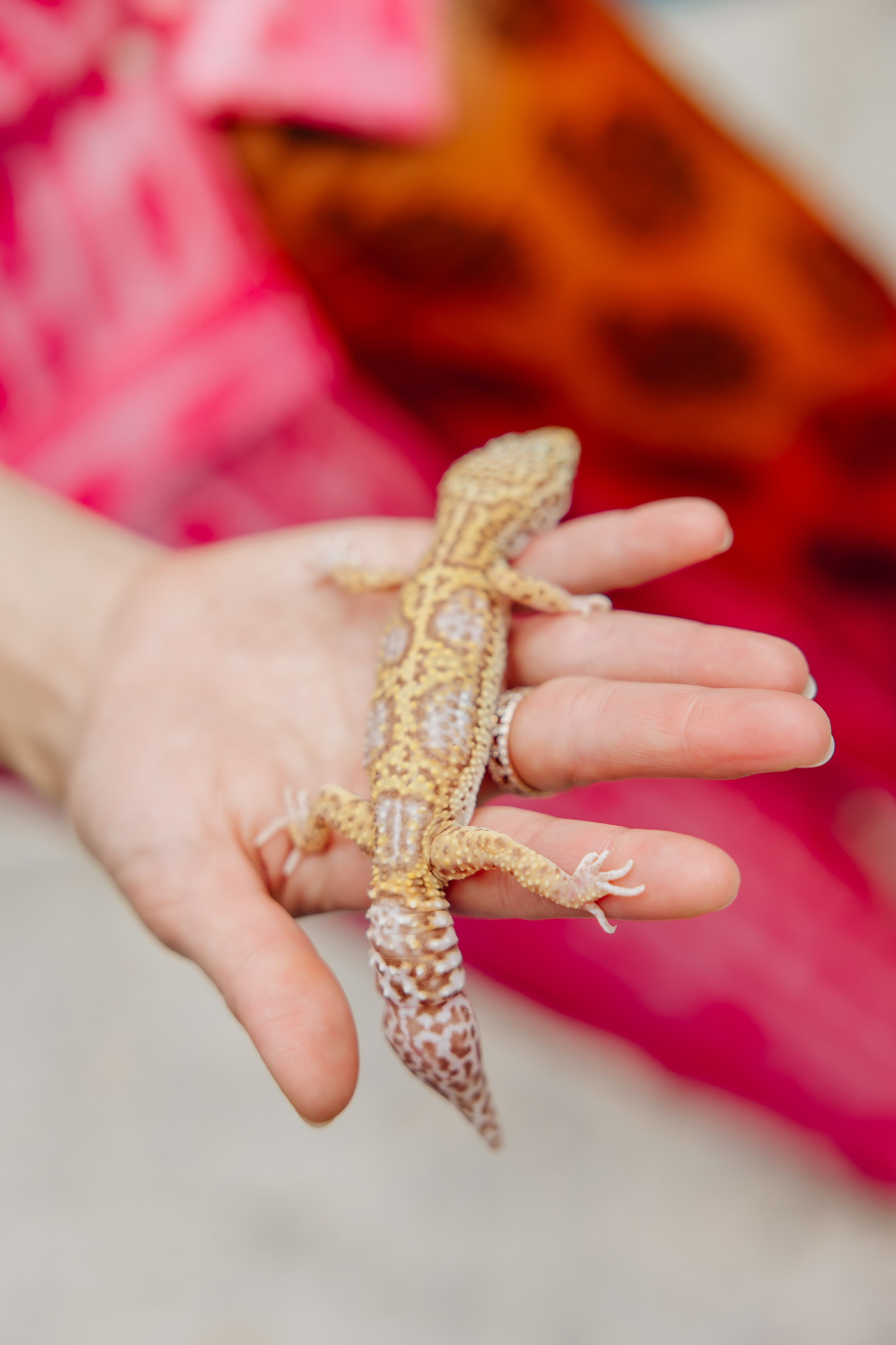 Kids Party. Alya Leto Photographer