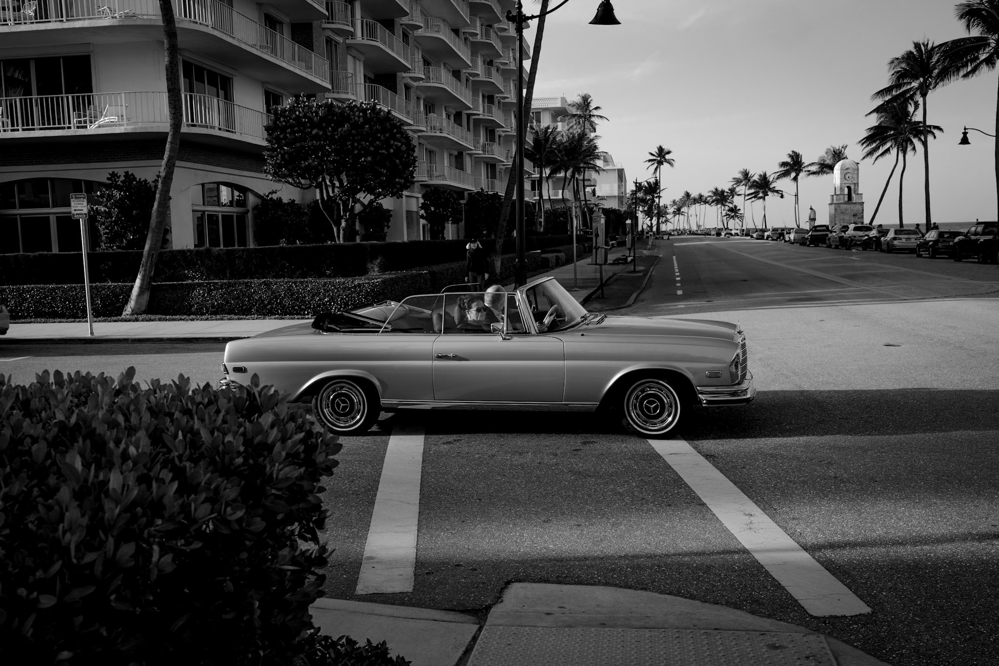 Black and White. Out and About 239