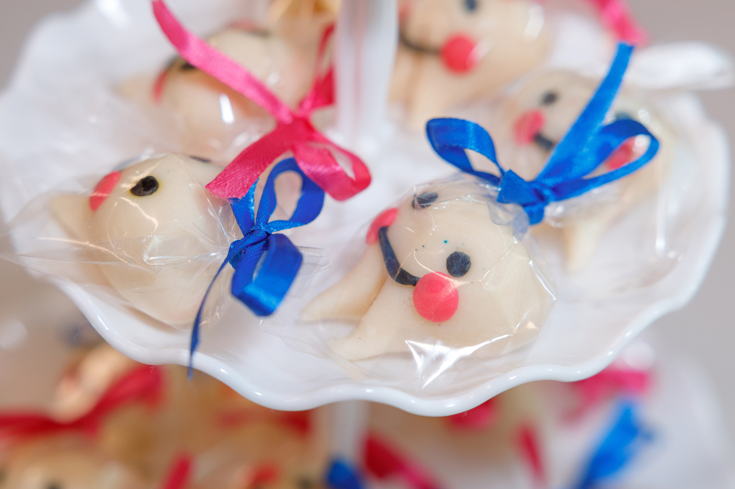 ONE. Family and Event photographer in Bay Area Elena Tiuriumina