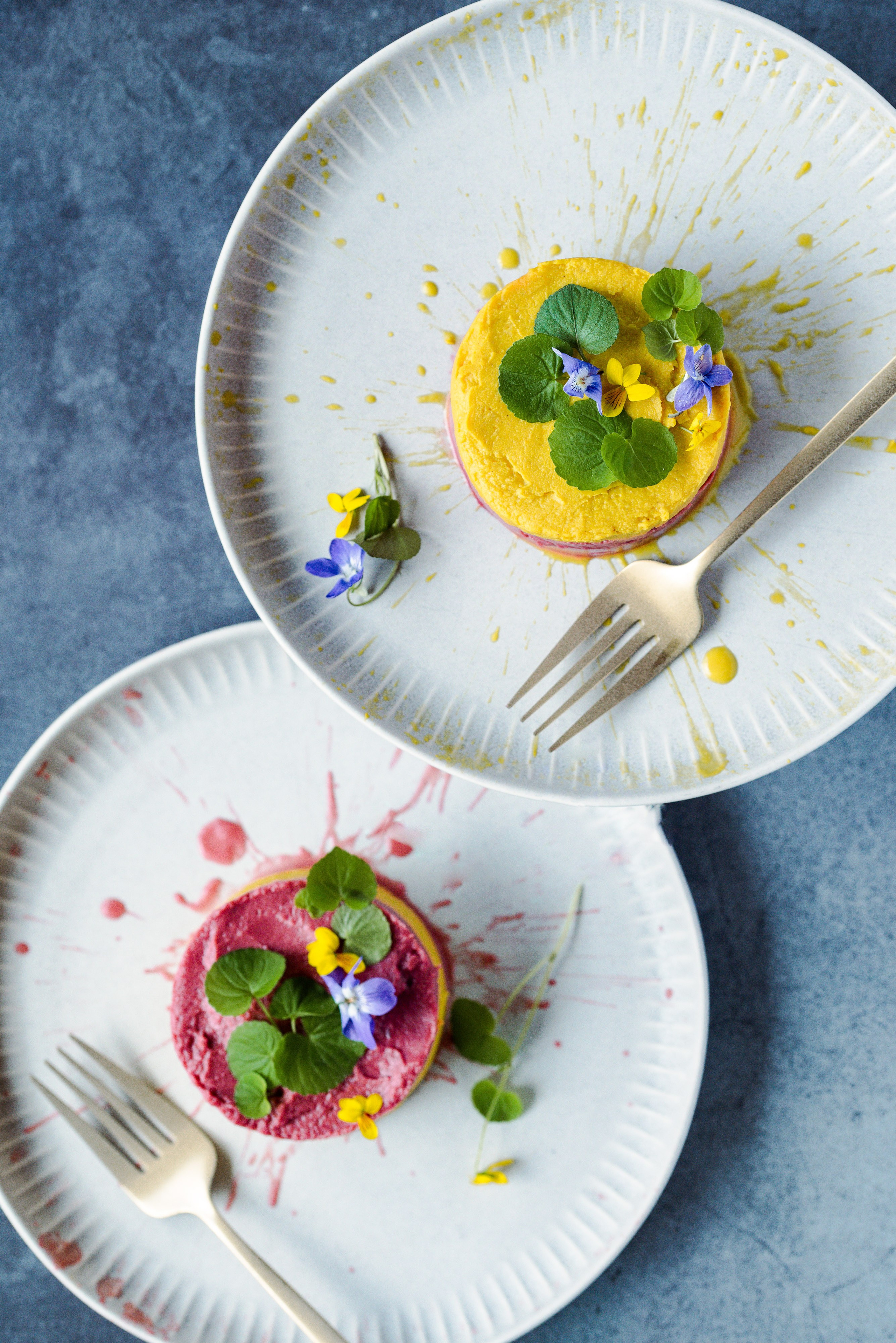 Salty. Familienfotografin aus Sterzing Elena Muehlsteiger