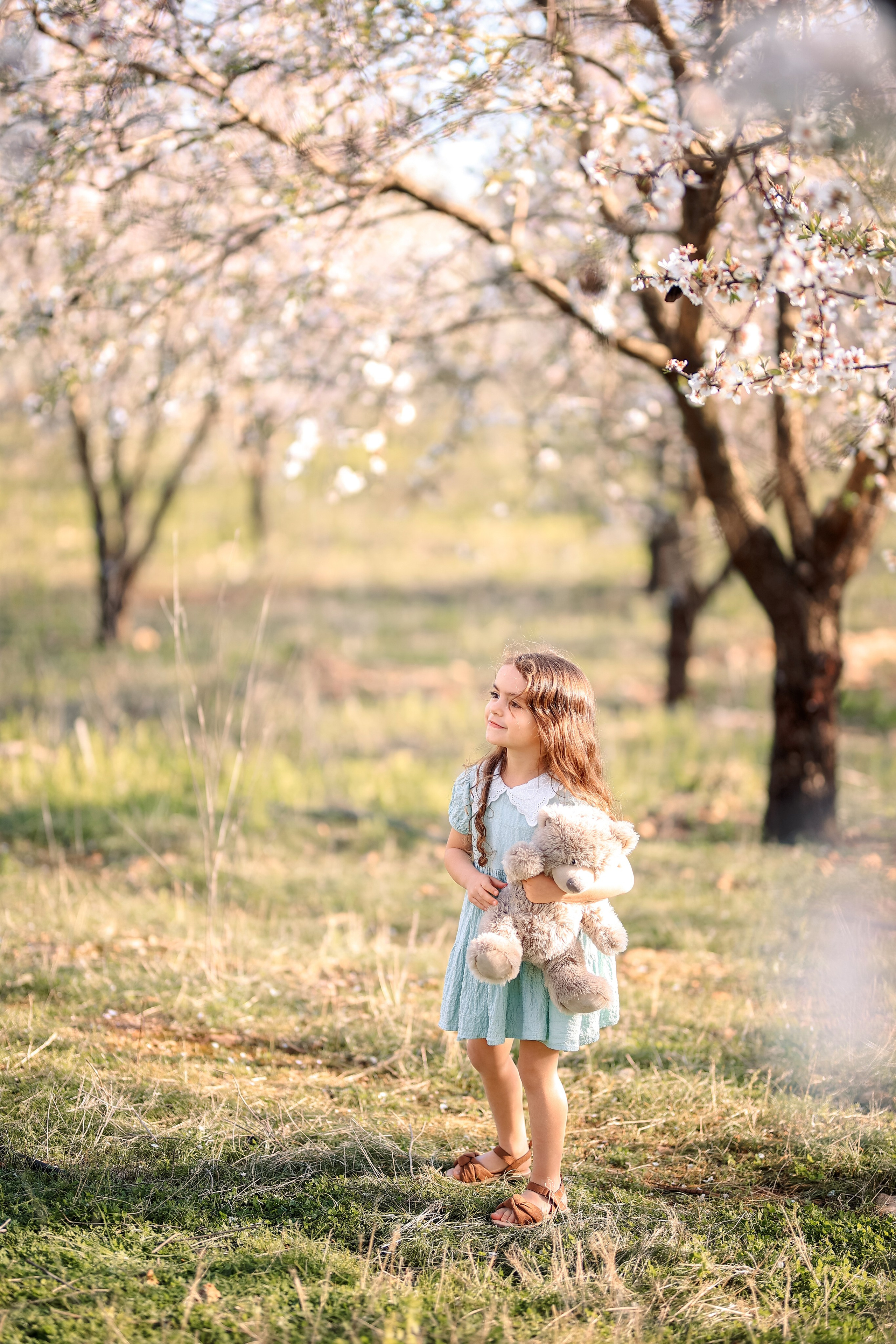 Фотосессия в цветущем миндале. Фотограф в Турции, Анталии, Кемере, Белеке, Сиде, Каше, Калкане, Фетхие