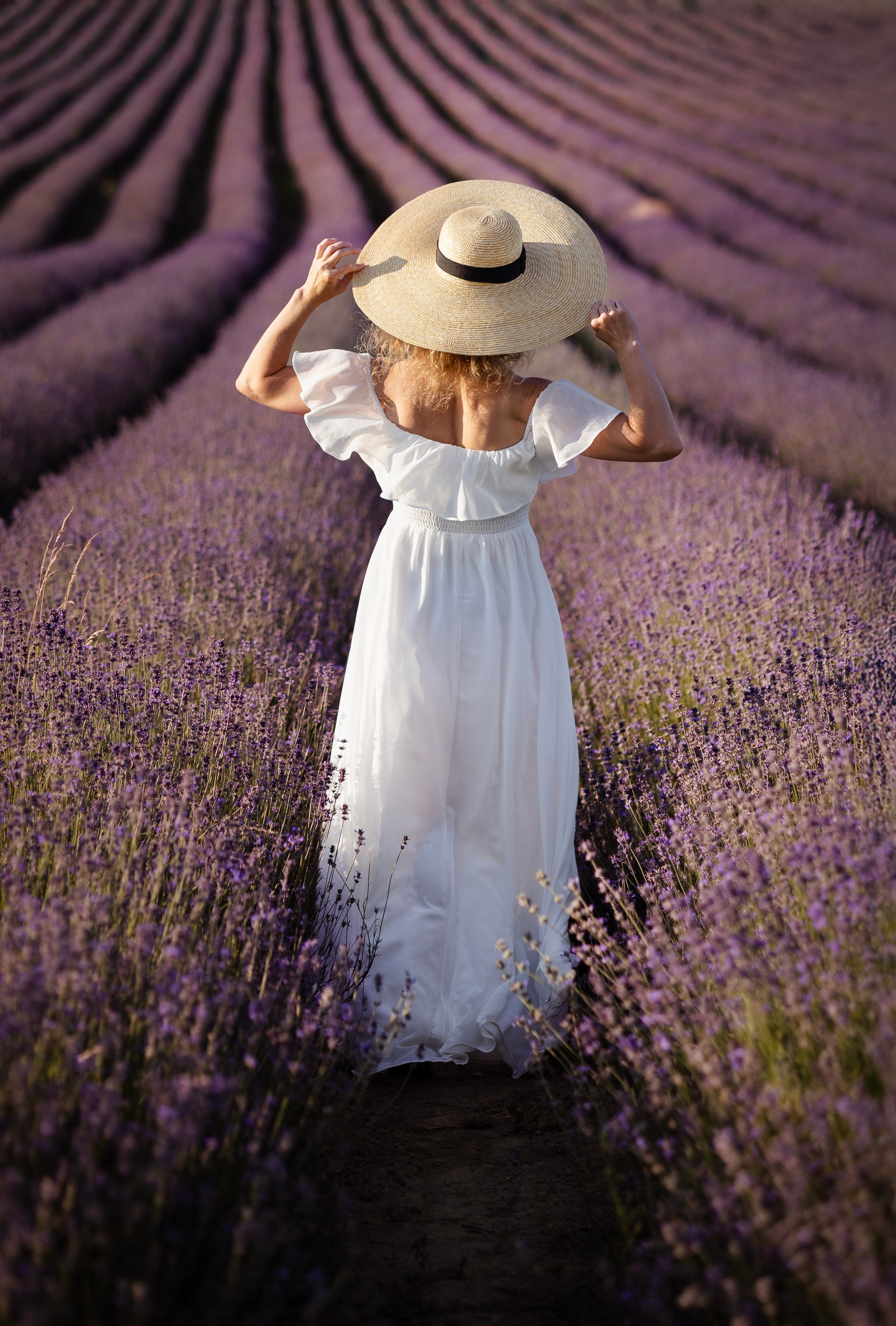 Lavendel. Photographer in Munich