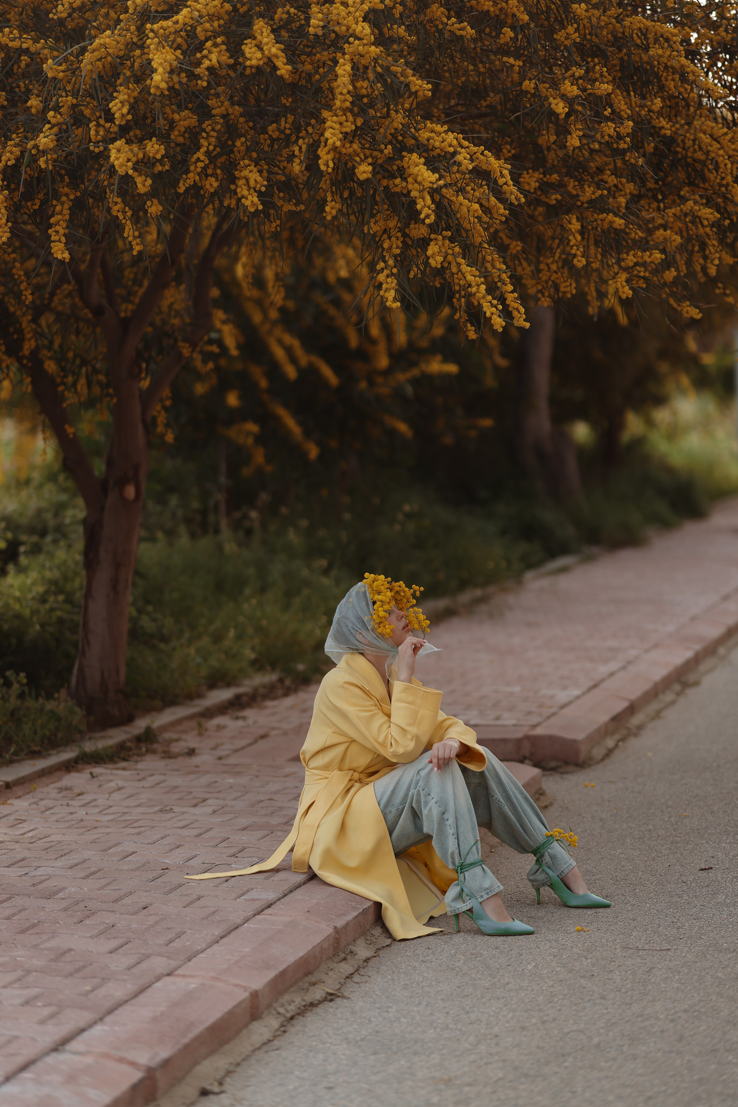Цветение мимозы в Турции. Фотосессия в мимозе. Фотосессия с мимозой. Фотограф в Турции. Что сейчас цветет в Турции. Что сейчас цветет в Аланьи. Что цветет в апреле в анталии. Фотограф Алания турция. Мимоза в Турции. Цветение в Турции. Турецкая мимоза . Мимоза турция. 