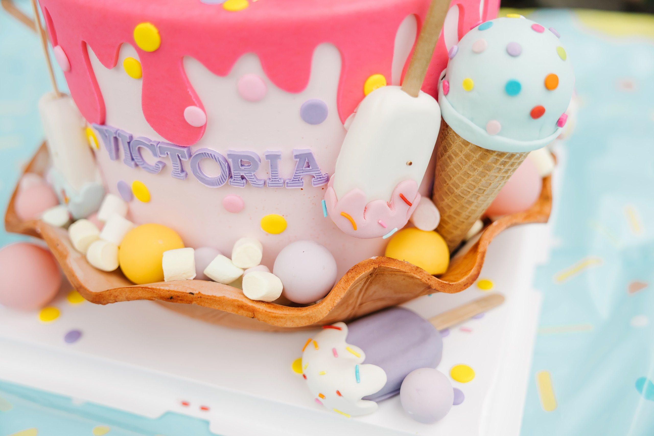 Birthday Party. Wedding family event photographer in Chicago Nick Yushevich