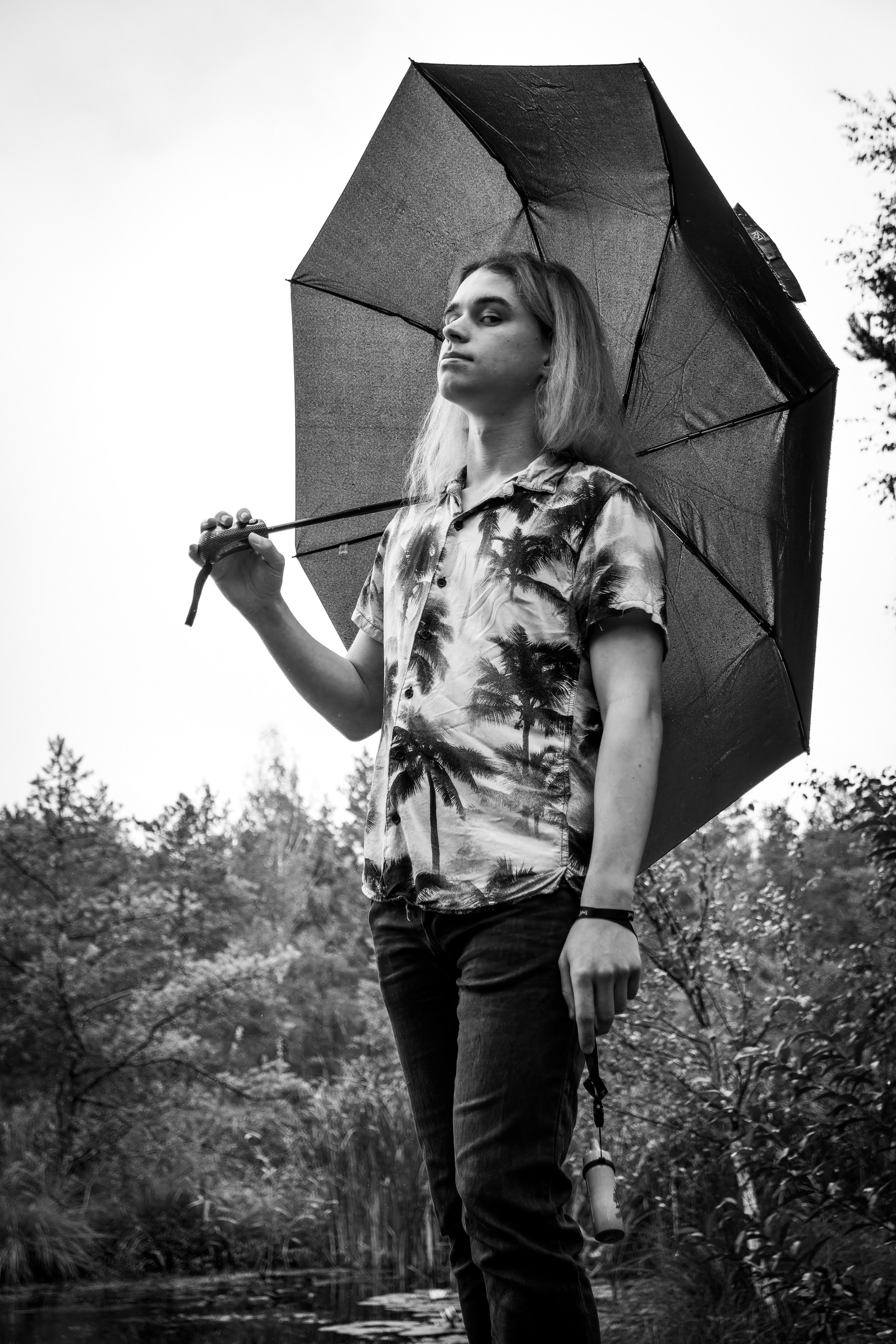 Mets, vihm ja jahedus (Dimitry). Nebula 25 — Fotod teie hingele