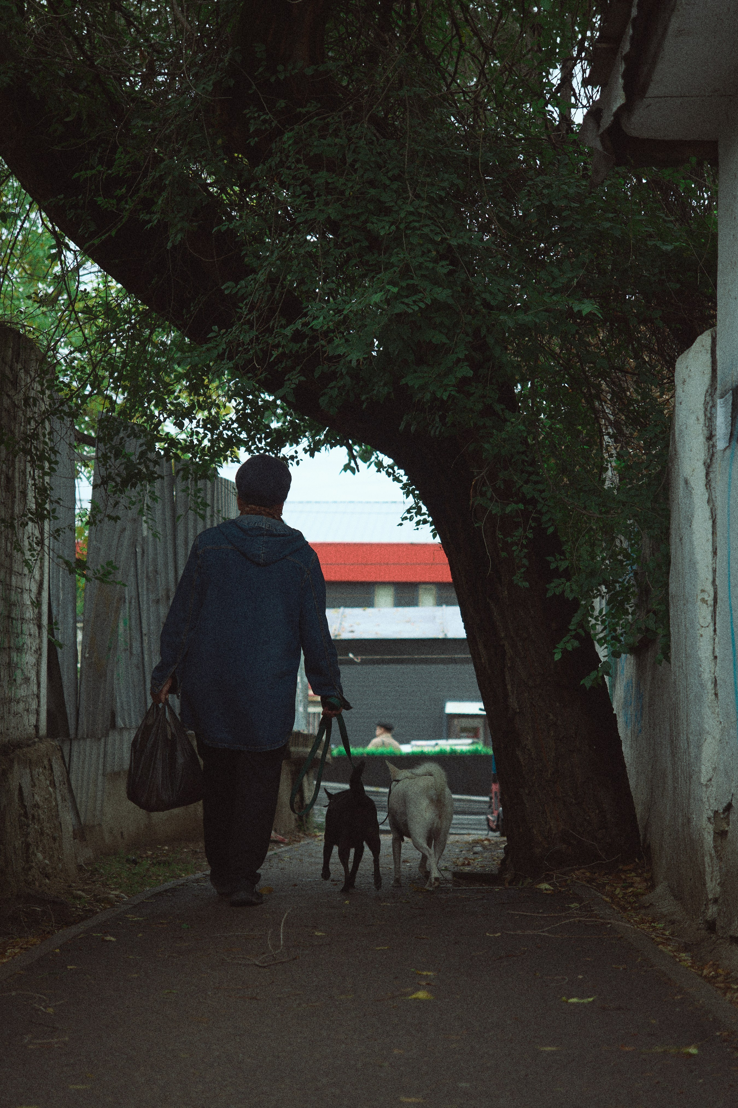 Street. The Photographer