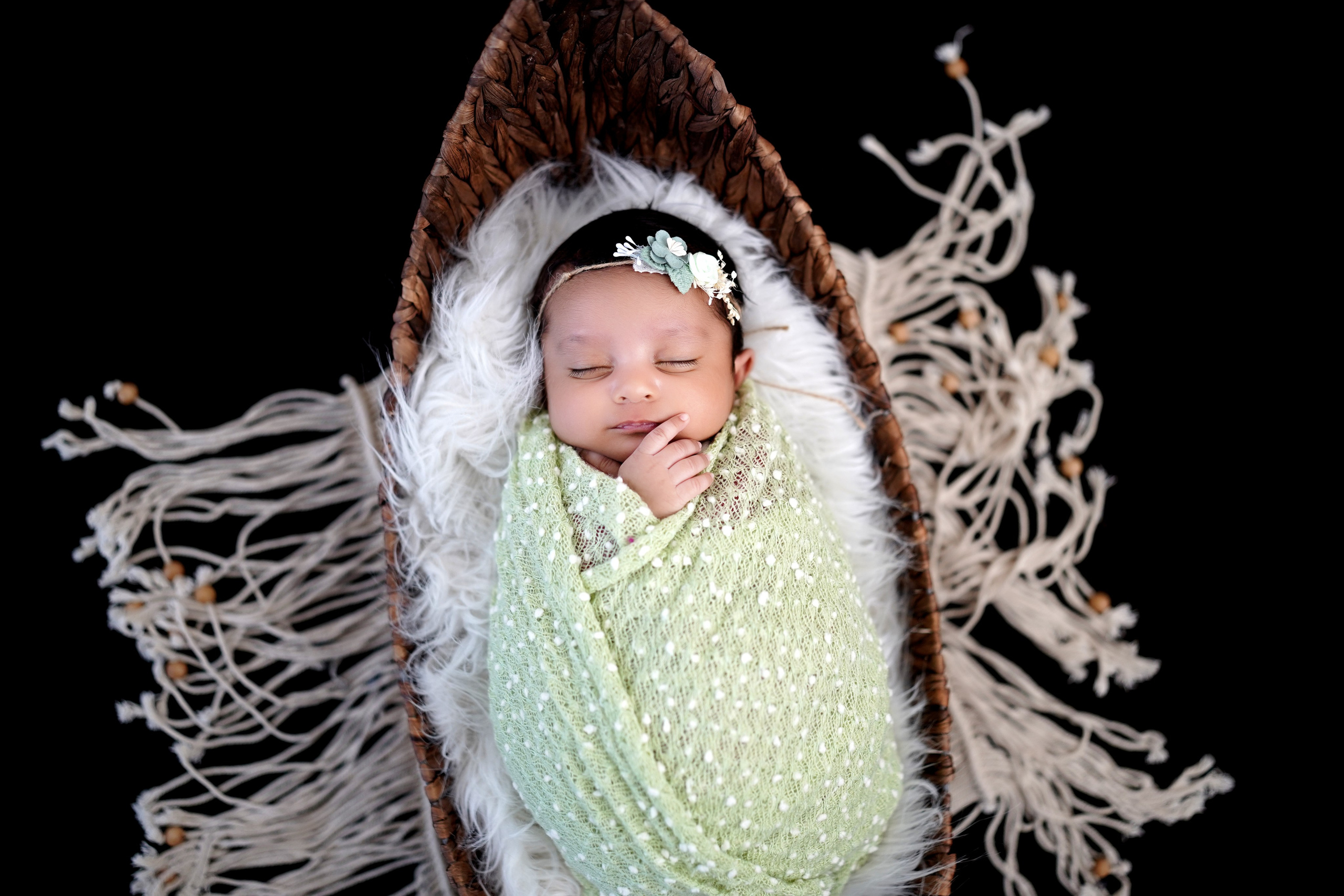 New born. TNF photo & filming