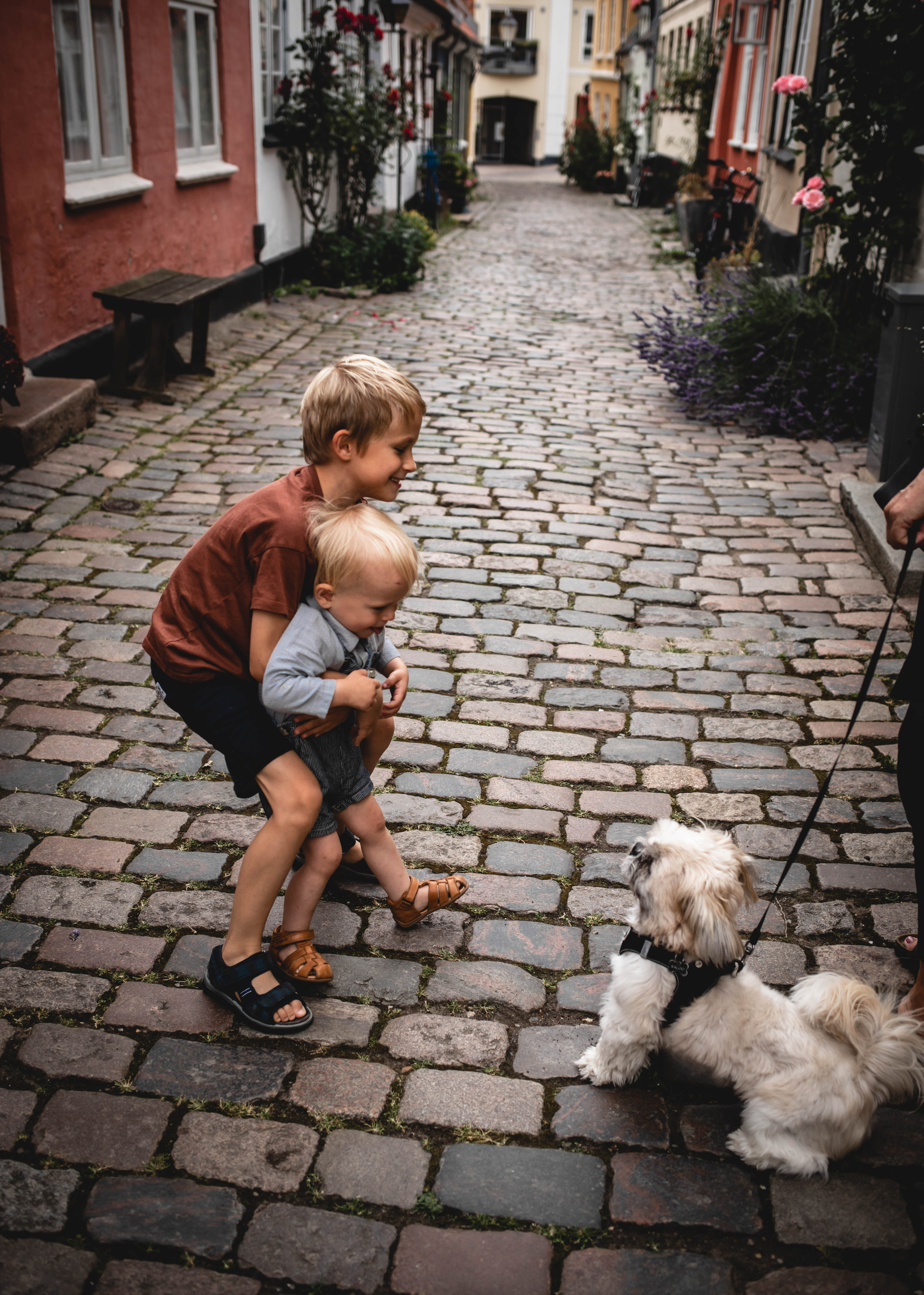 Aalborg. Professional wedding photographer in Copenhagen, Denmark — Julia Byron