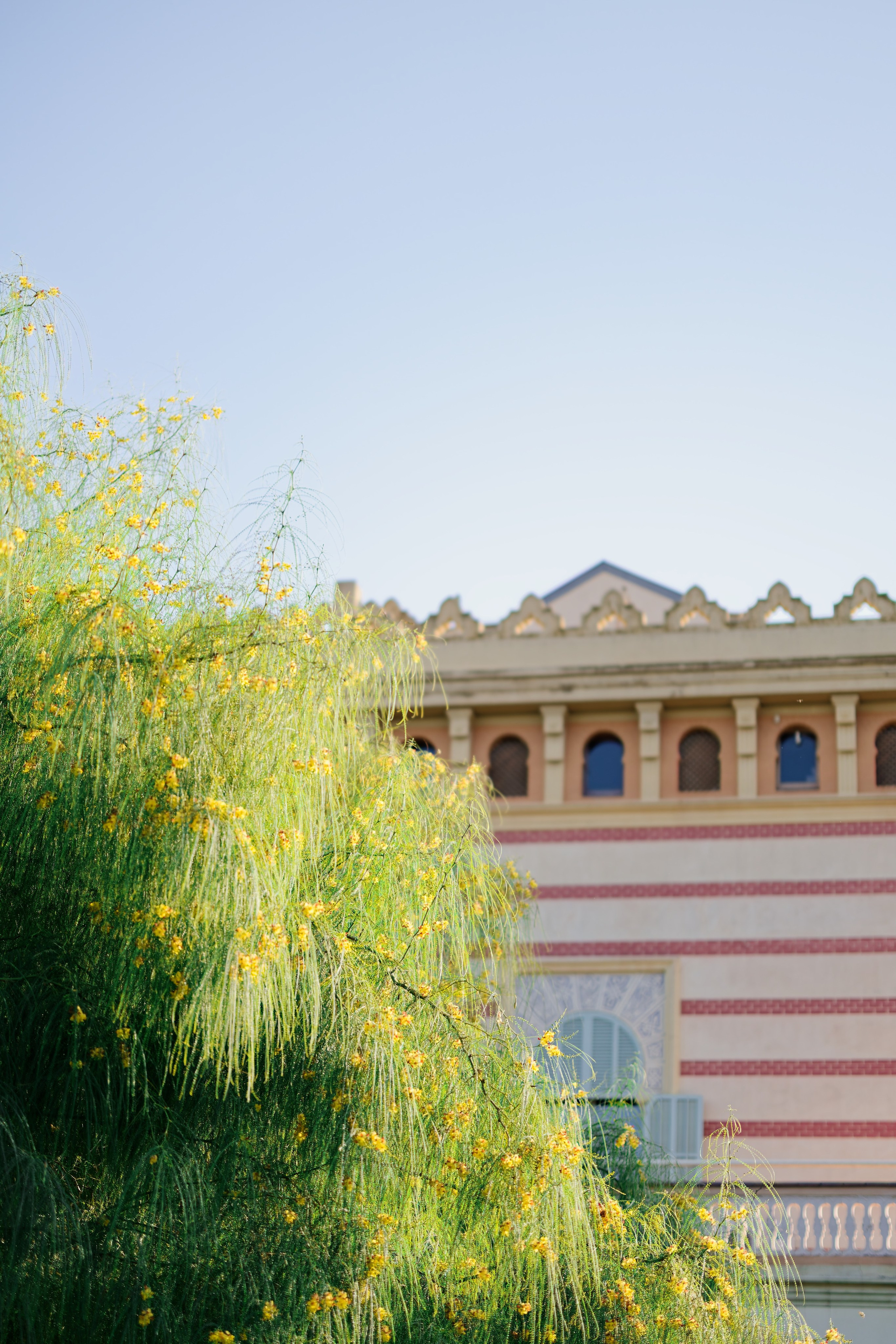 Haldi Ceremony & Mehndi Night & pre-wedding dinner, Barcelona