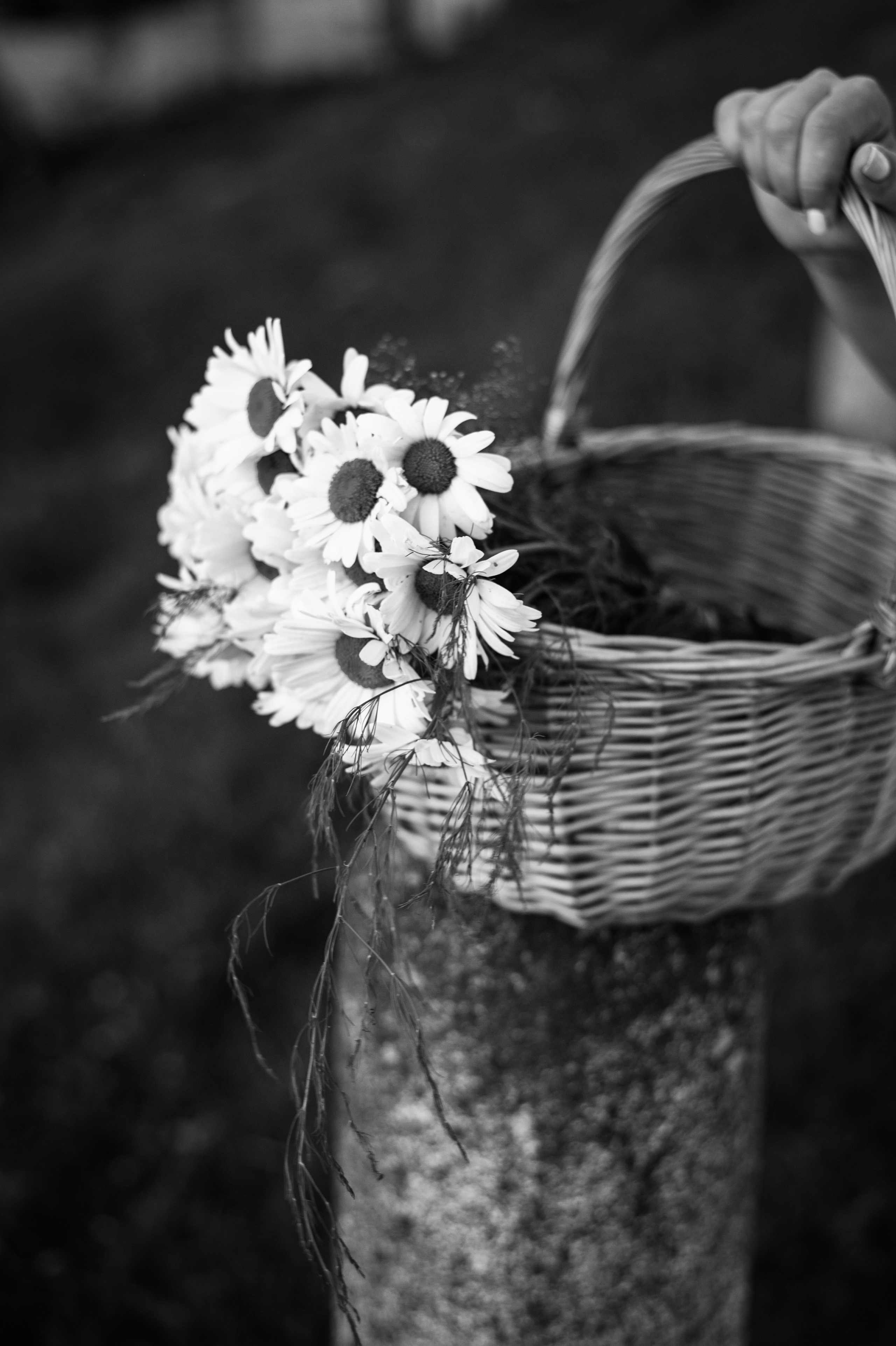 Алина. Marianna.gluhova.photostory