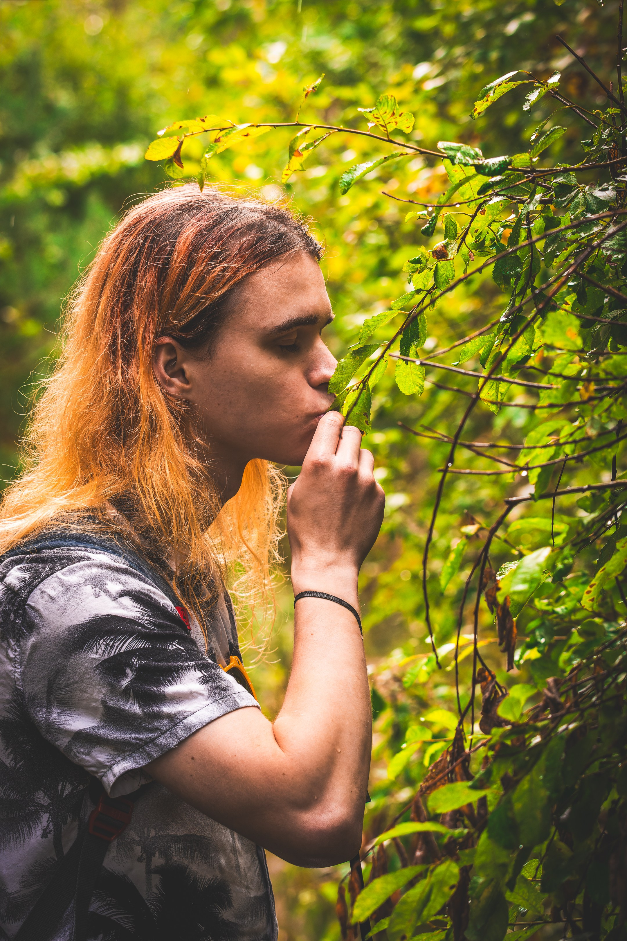 Mets, vihm ja jahedus (Dimitry). Nebula 25 — Fotod teie hingele