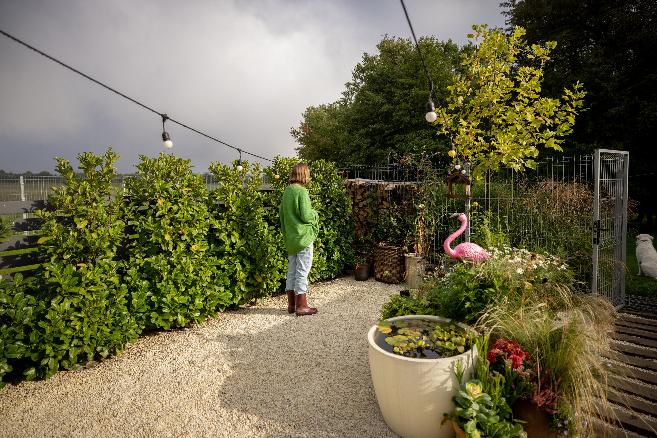 Κατασκευή Κήπου. Geoponitikon-Όταν η Επιστήμη συναντά την Τέχνη στο Φυσικό Τοπίο!