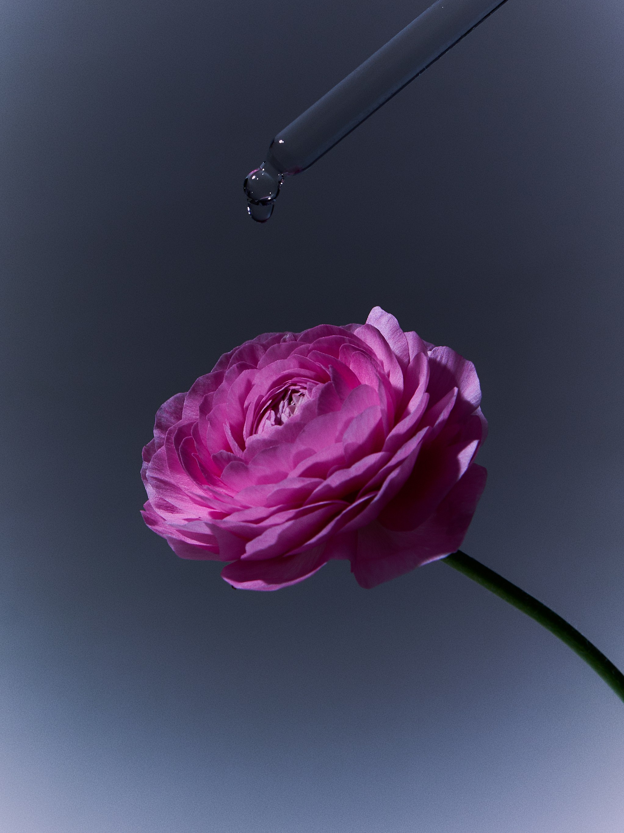 Косметика. Фотограф в Москве Айсылу Нафикова