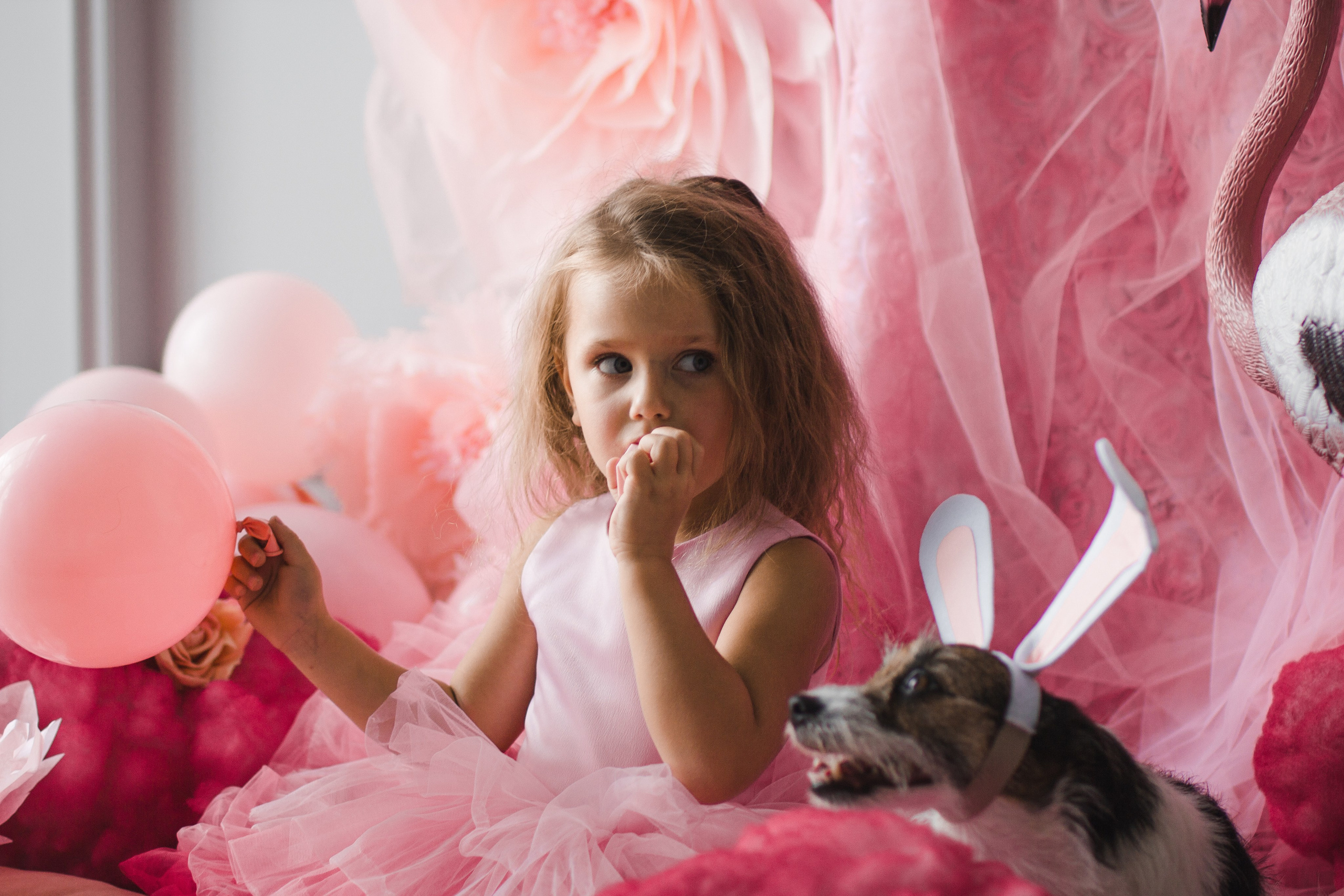 OH LA LA decoration studio. Photographer Vladmir Gladkov