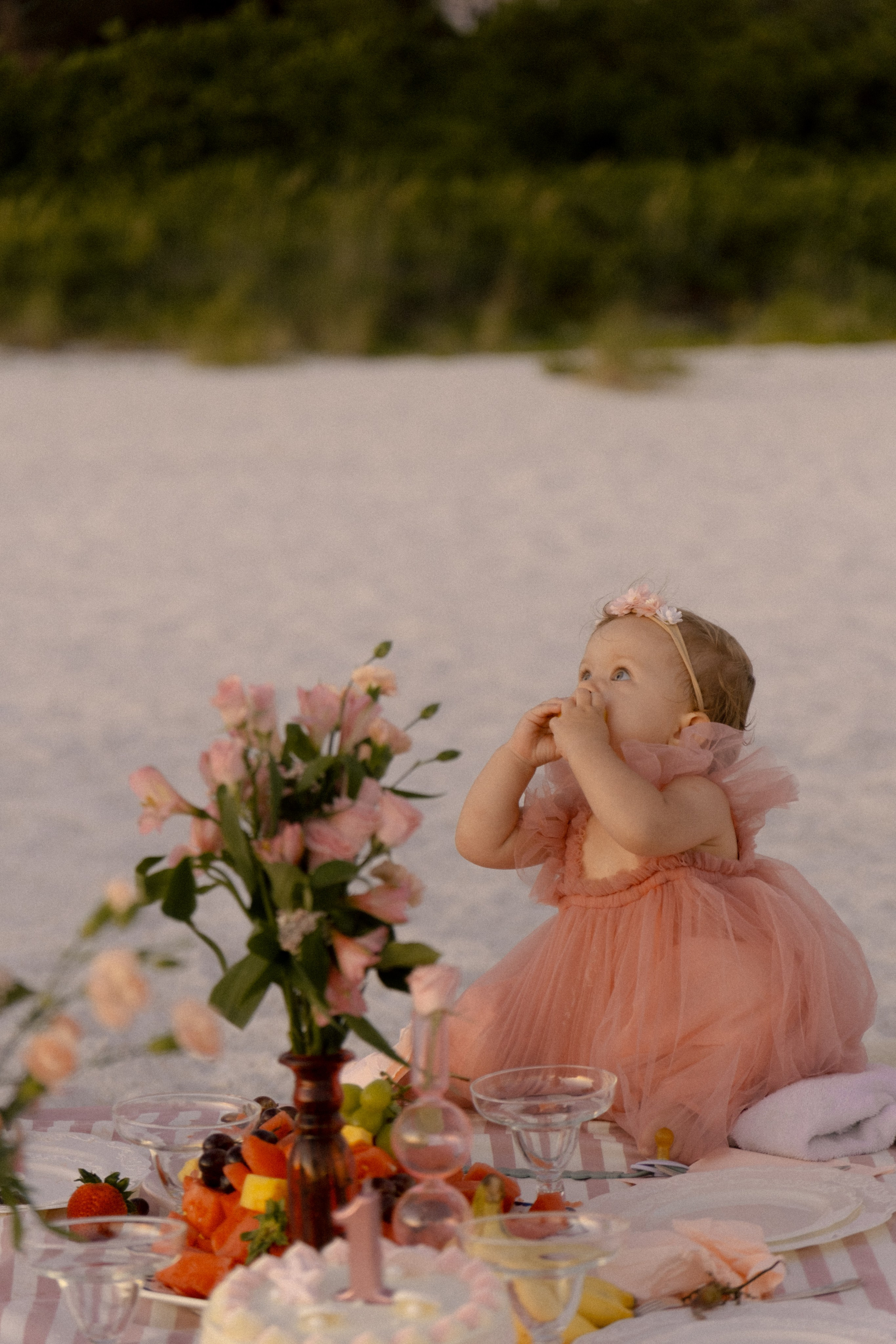 Karolina 1 year party. Photographer Vladmir Gladkov