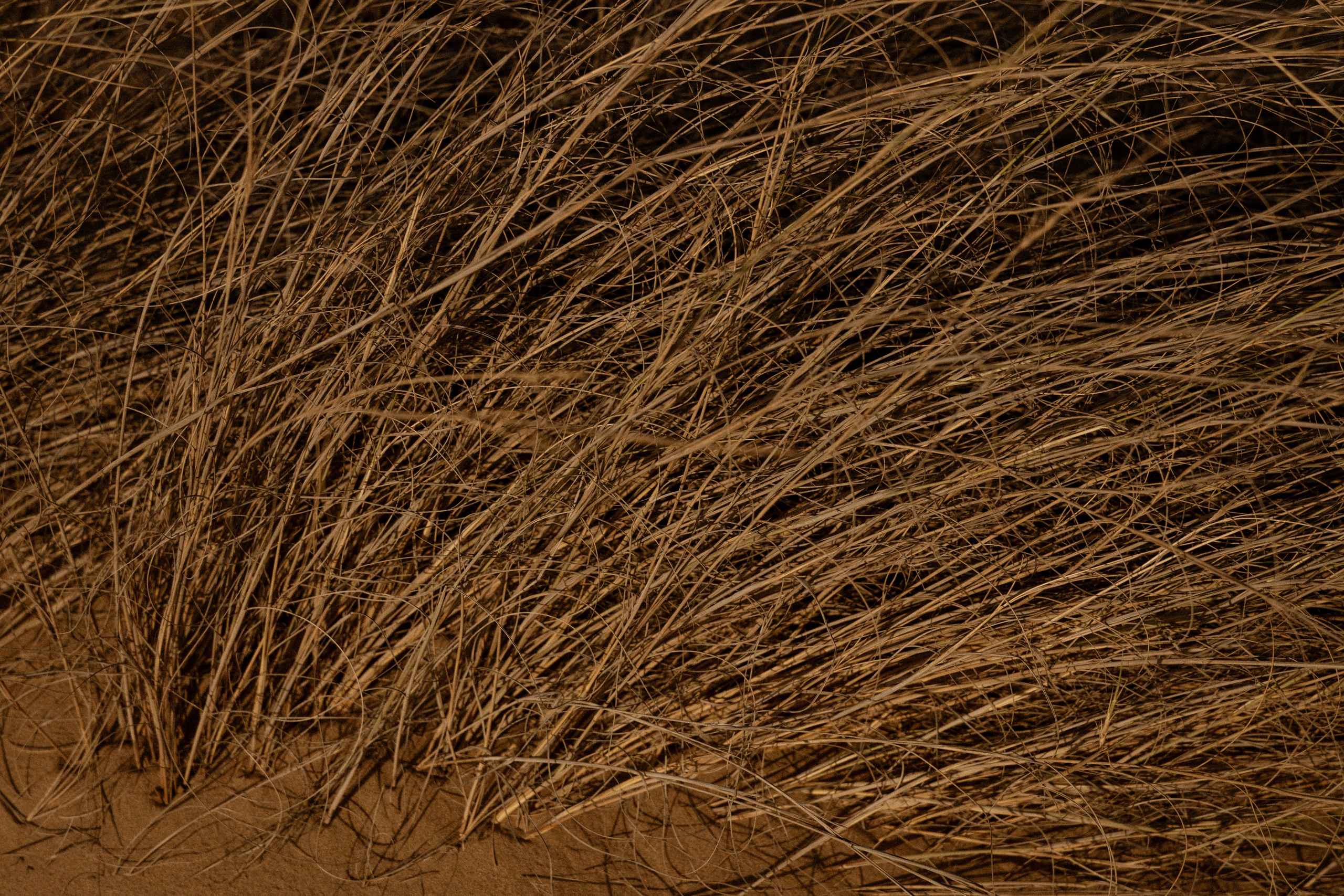 Галлерея. Anka Fateeva — Fine Art Photography Prints