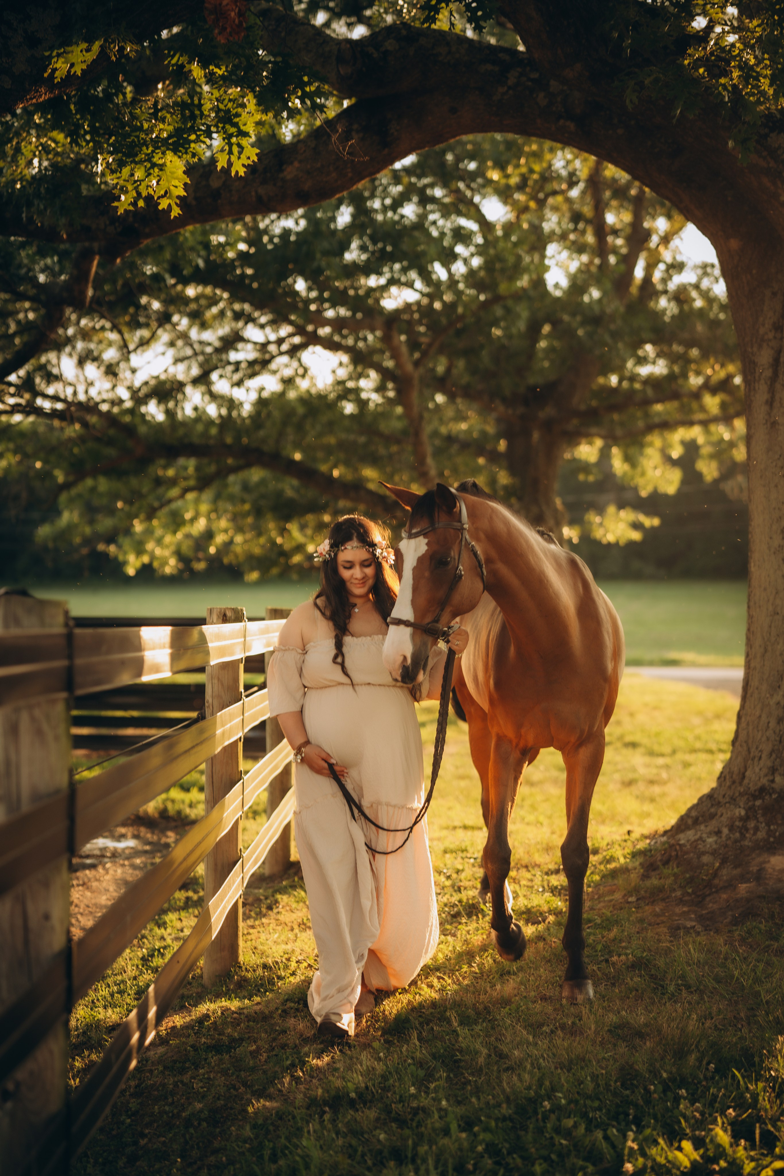 Photoshoot with a Horse. Lifestyle Family Photographer in Pennsylvania