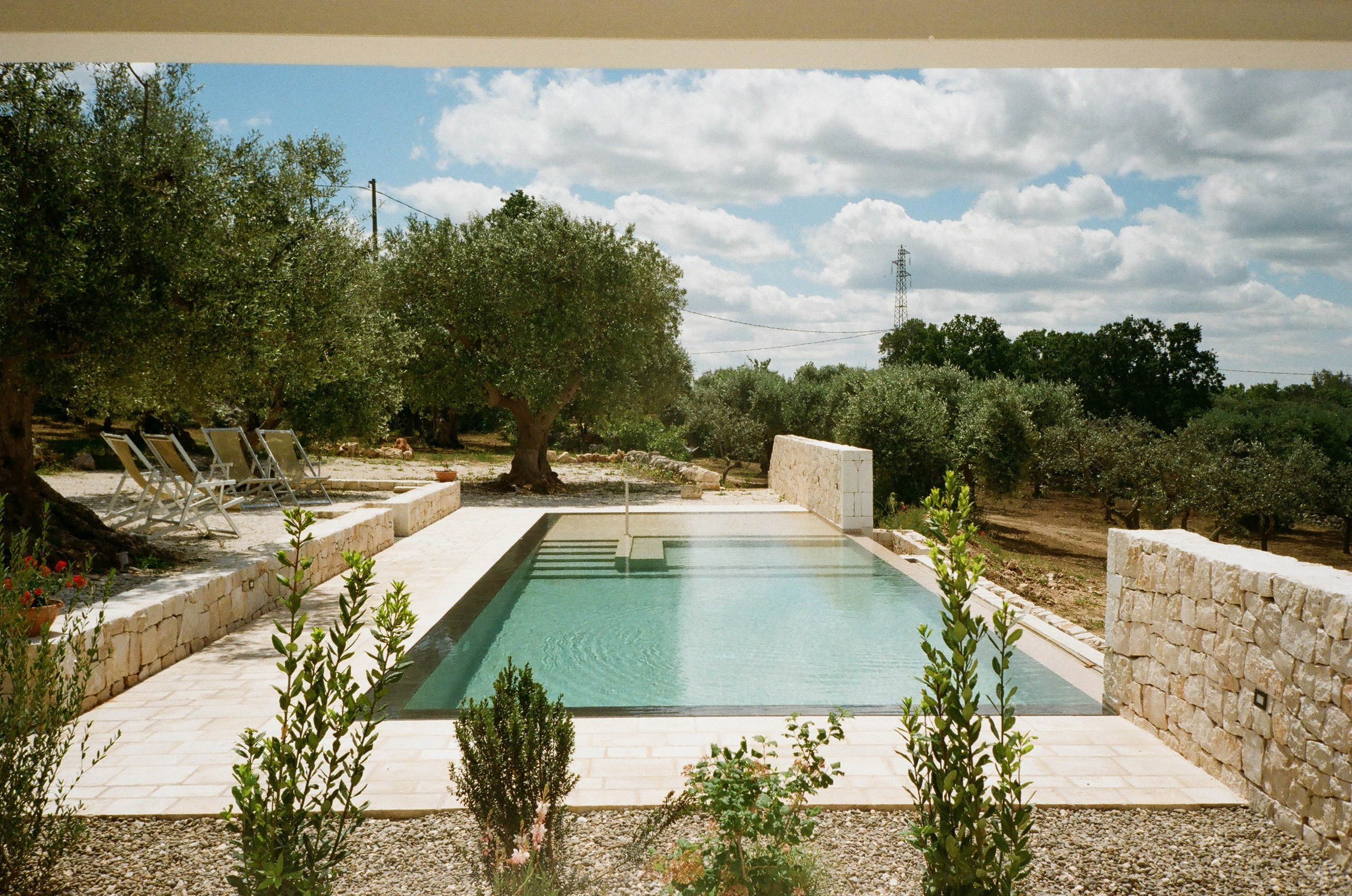 Stephanie & Christian film photos. Весільний фотограф Вікторія Саврук