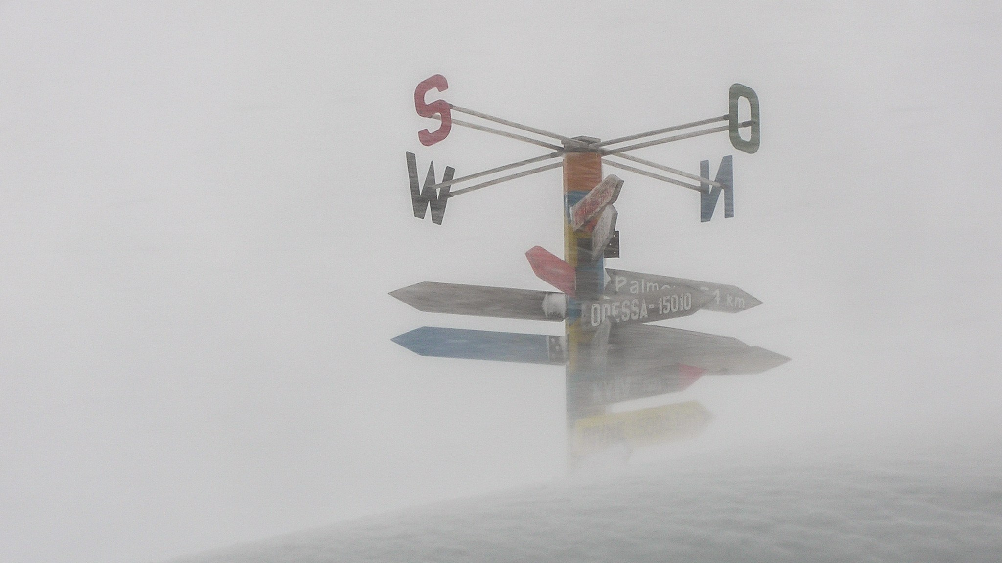 ANTARCTICA / 2004. Reportage concert portrait photography in the San Francisco Bay Area