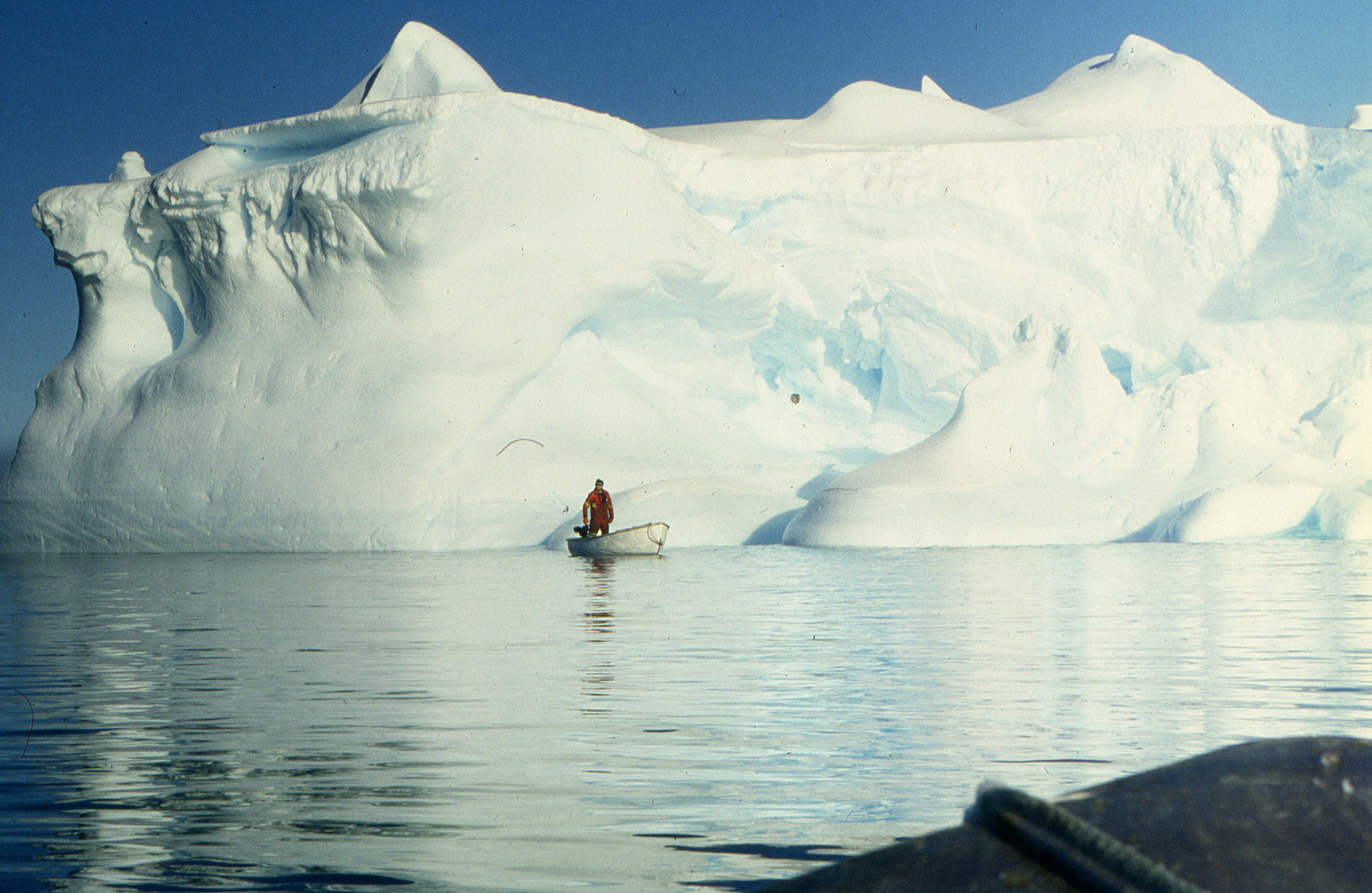 ANTARCTICA. Reportage concert portrait photography in the San Francisco Bay Area