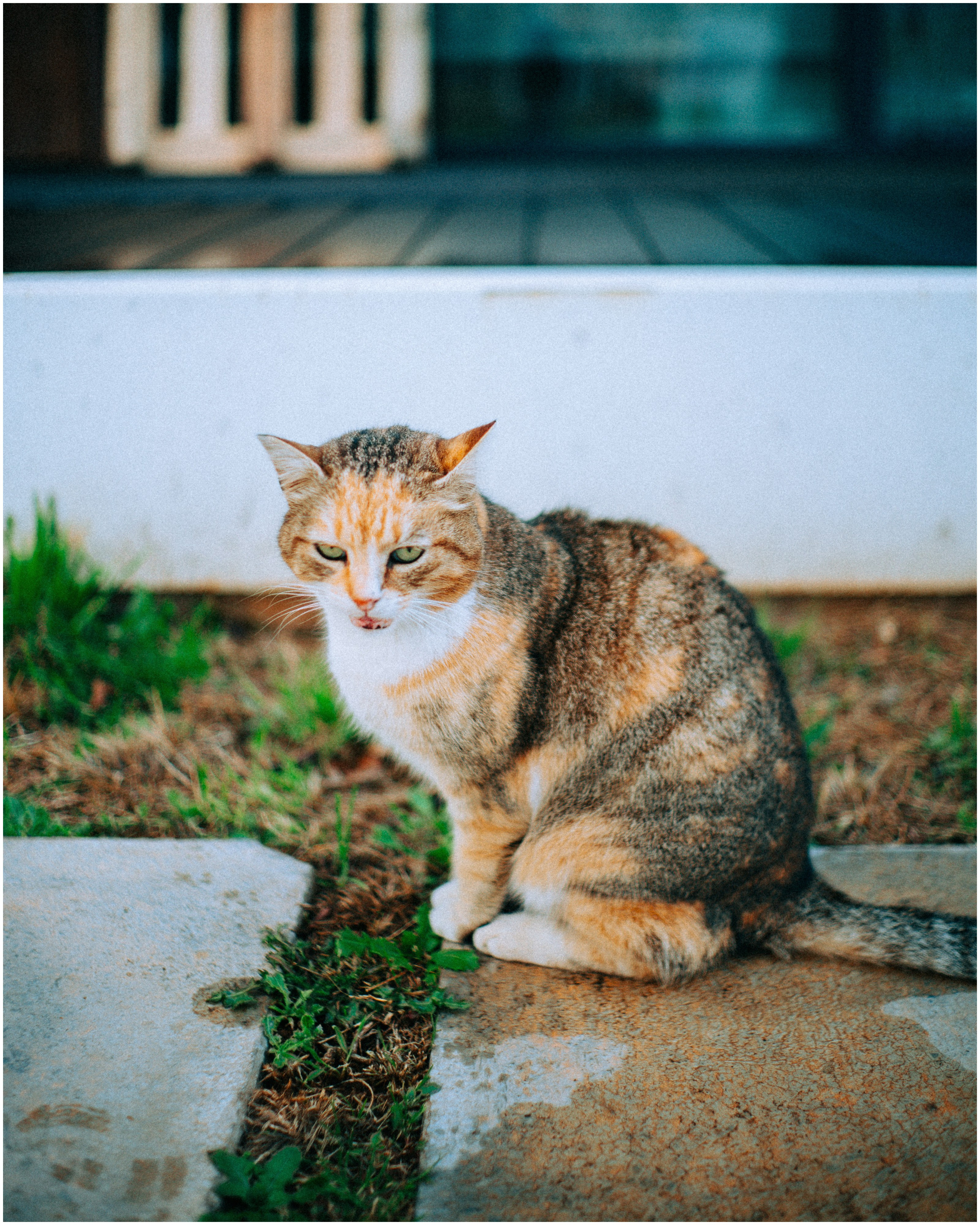 PALERMO. Photographer Inna Mendelson