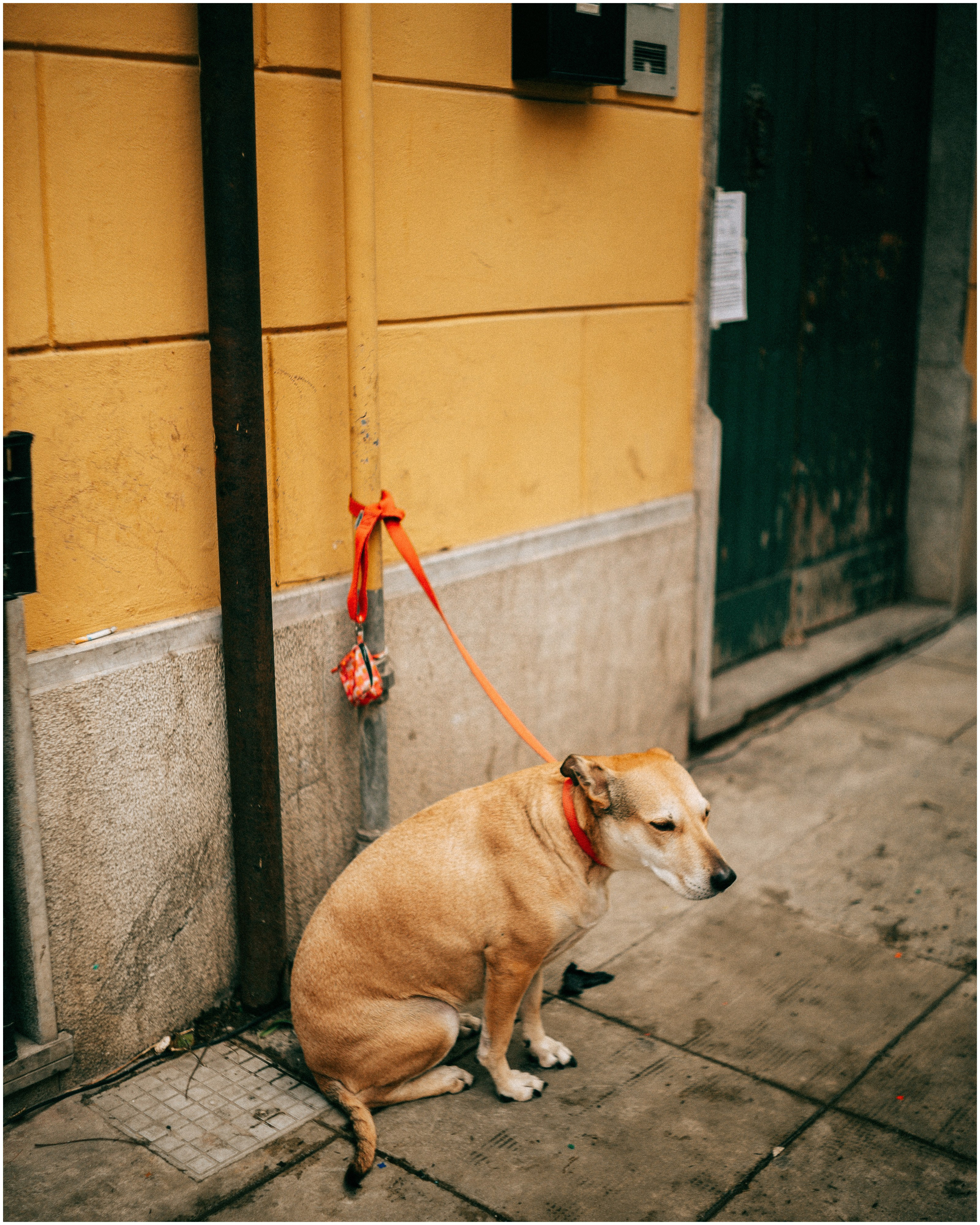 PALERMO. Photographer Inna Mendelson