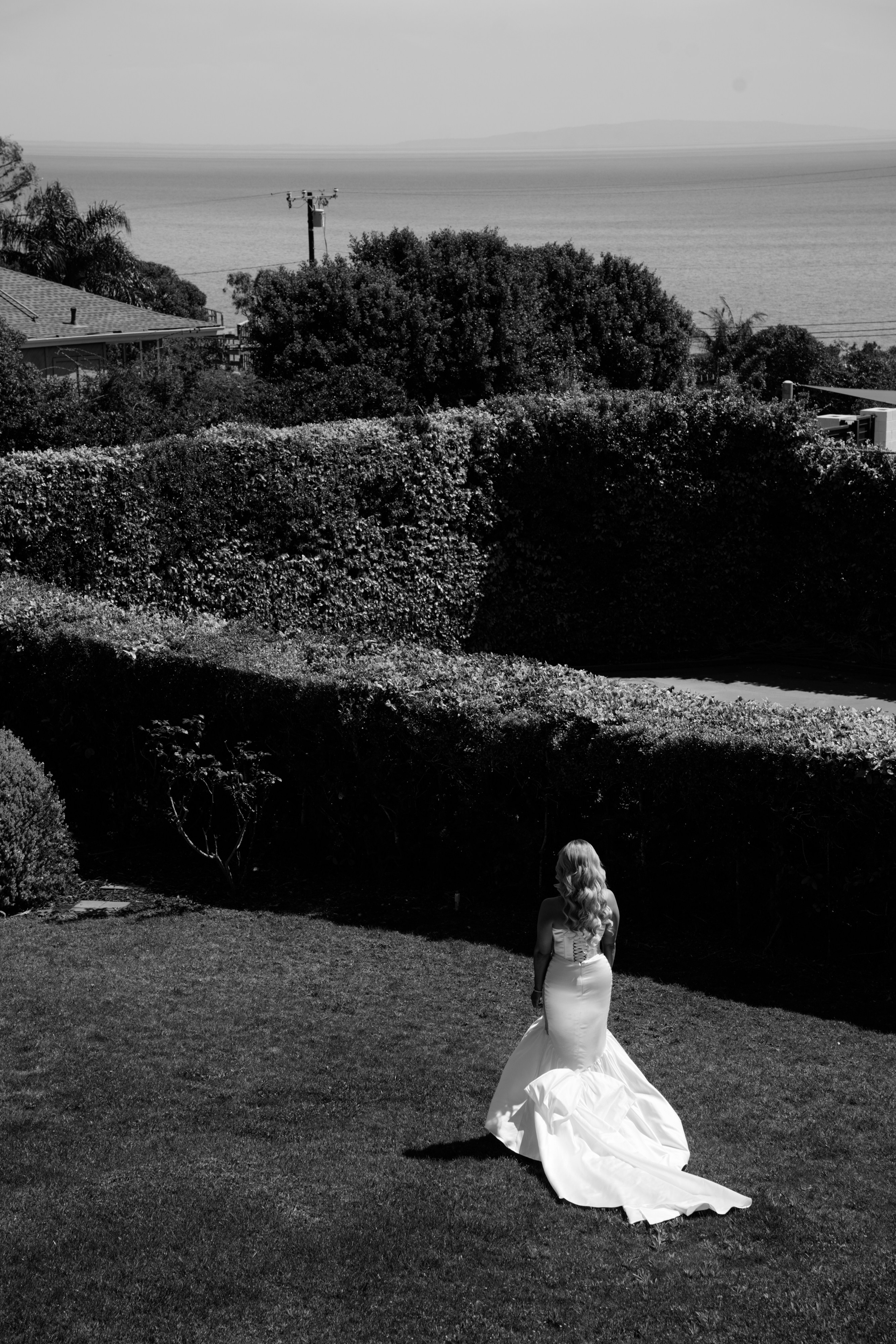 Willow & Anthony. Wedding Photography & Videography San Francisco, Sacramento