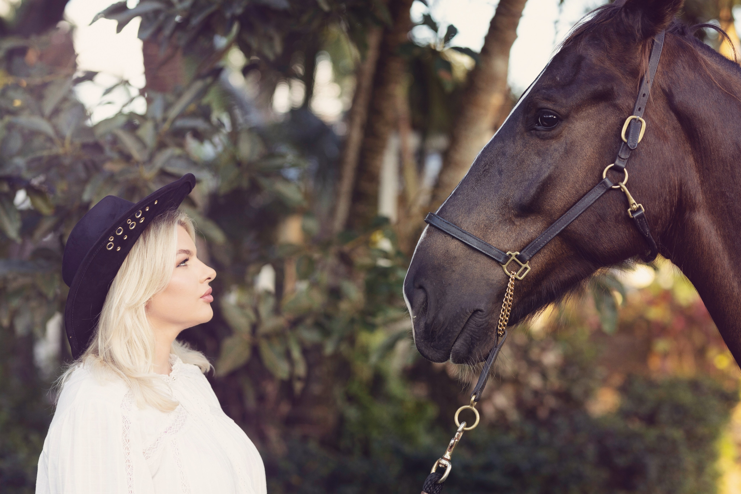 Family Horse Academy. Катерина Шилова