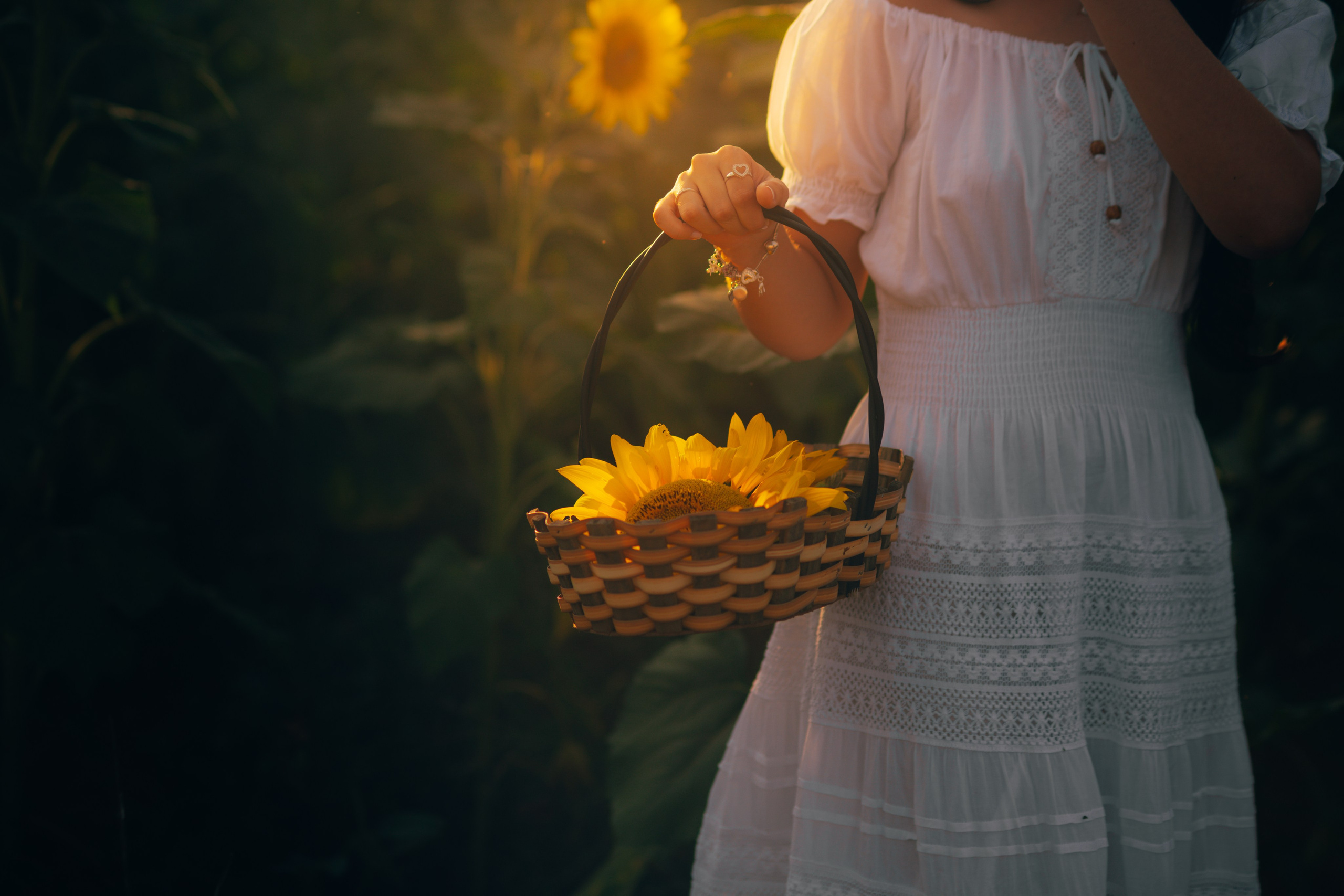 Debutante. Reference Visuals